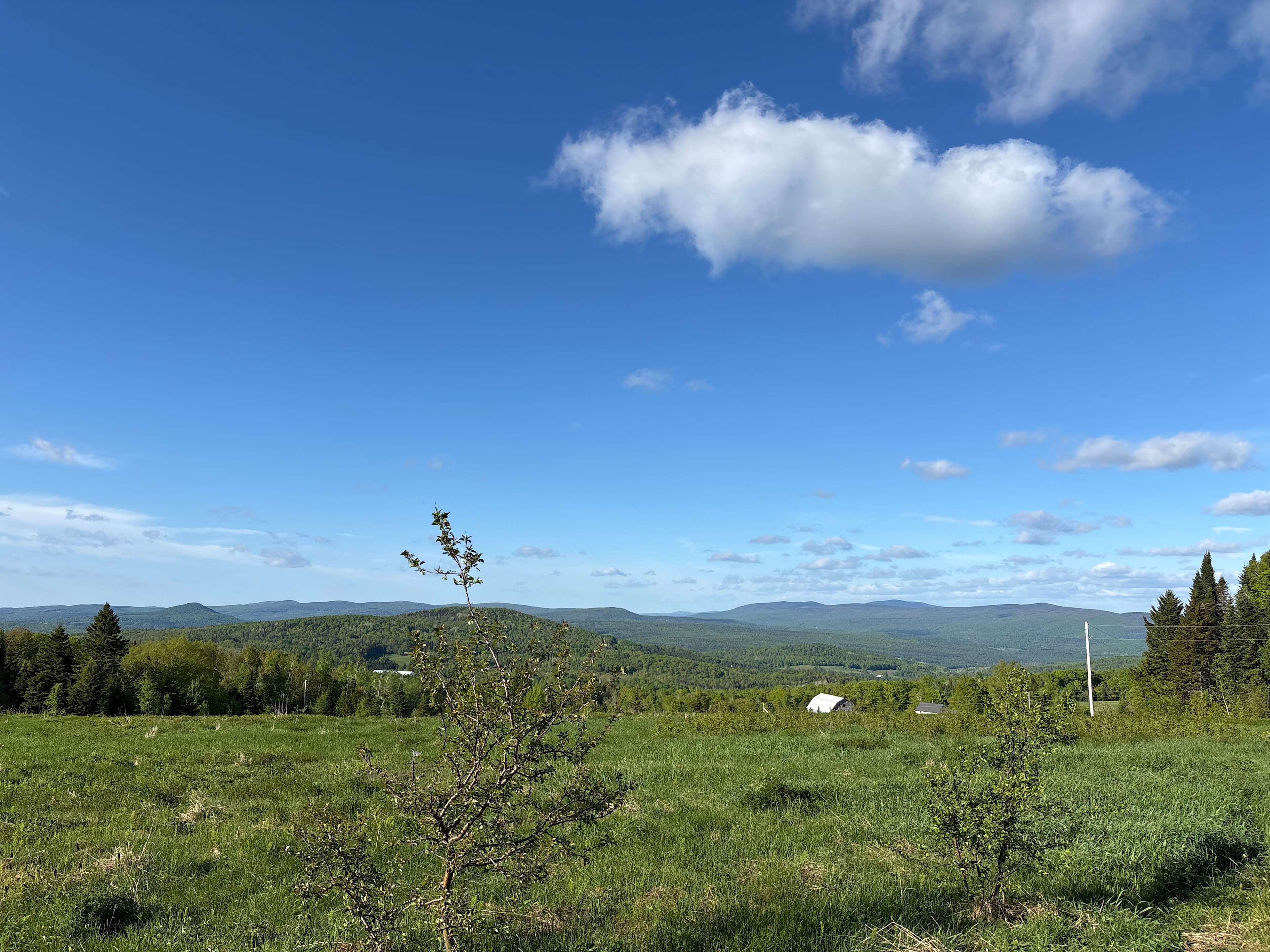 Scenic View RV/Camper Hookups