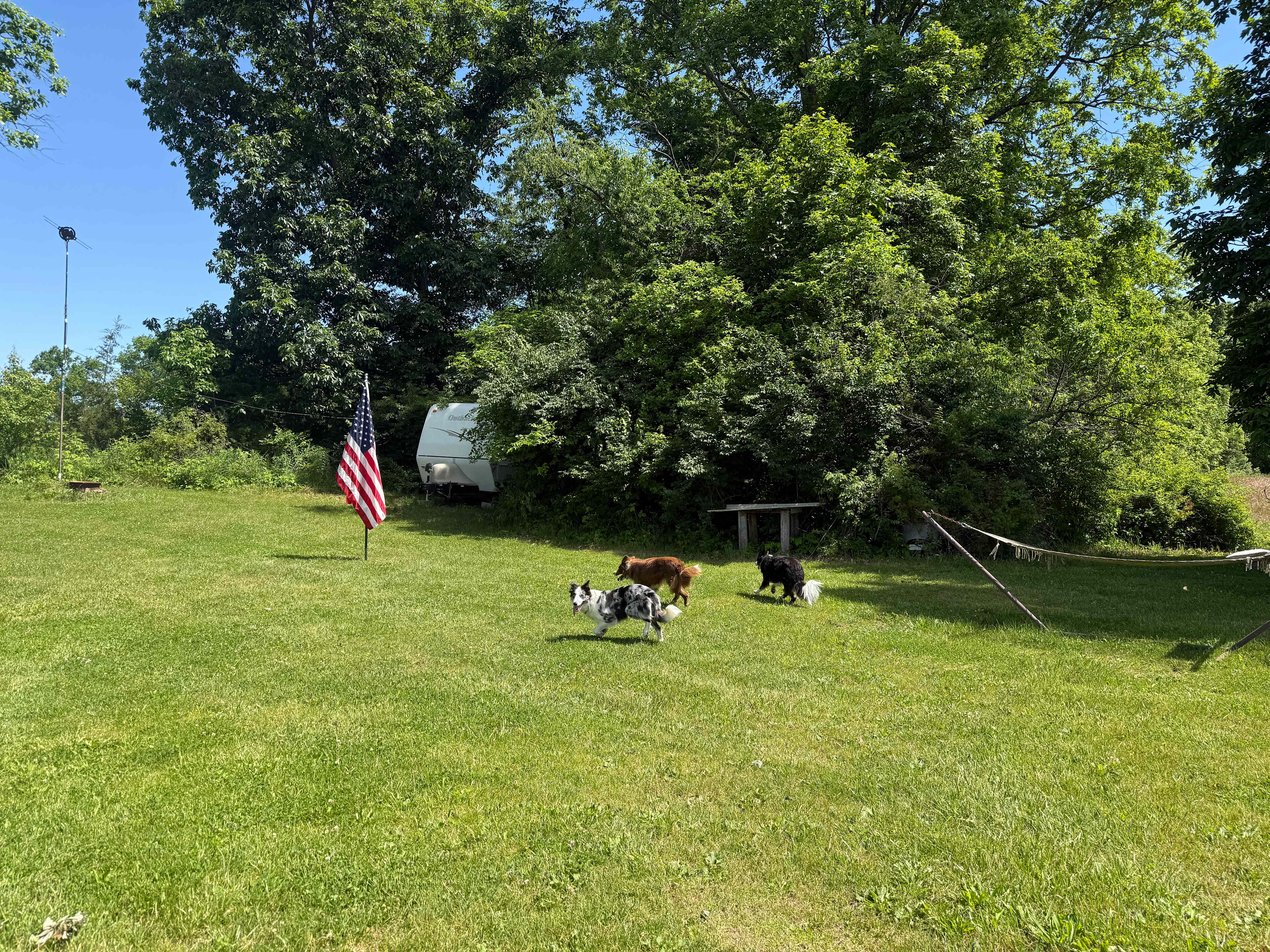 Picture of the site