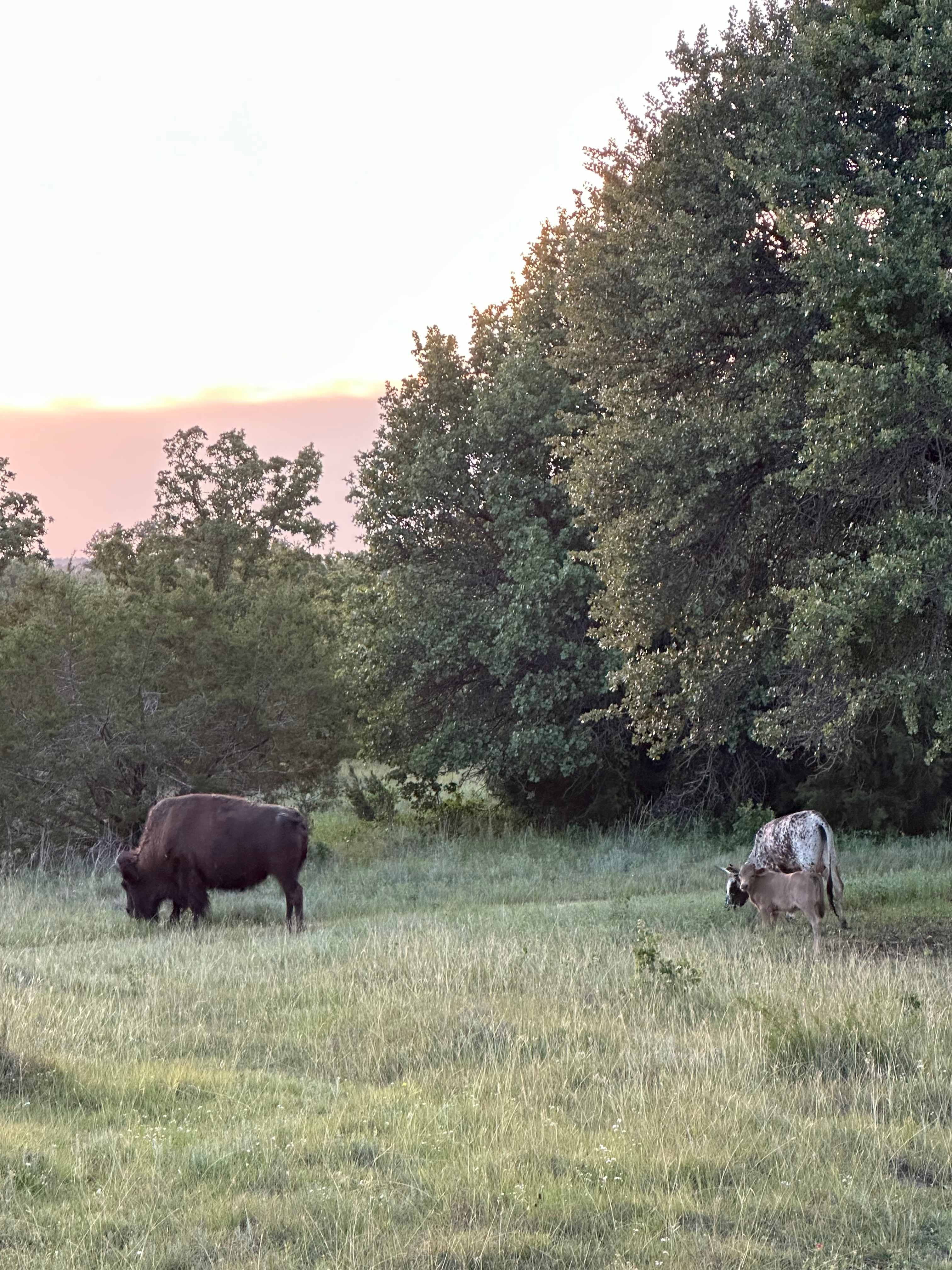 The Hideaway Ranch and Refuge