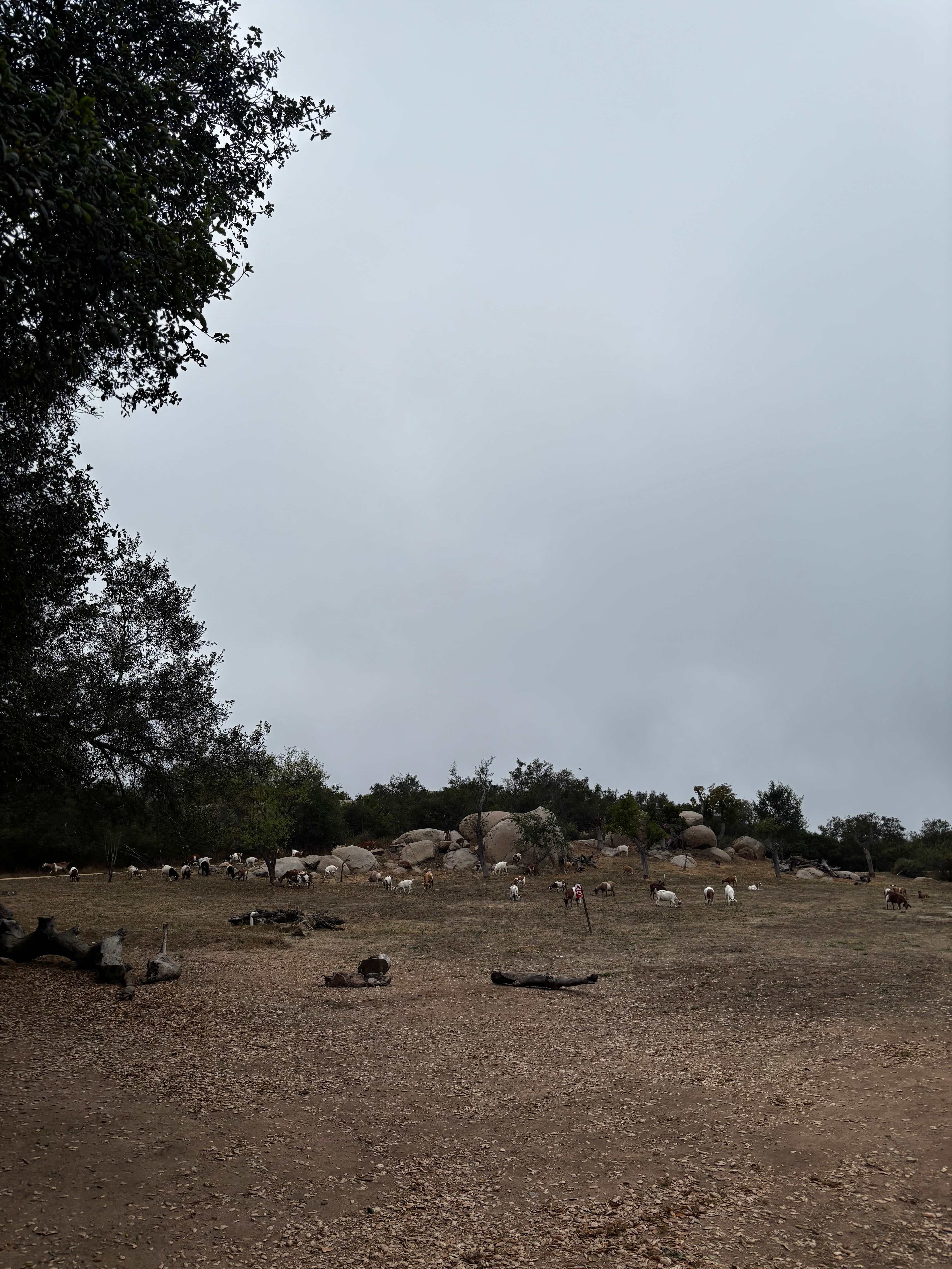 Splitrock Farm and Retreat