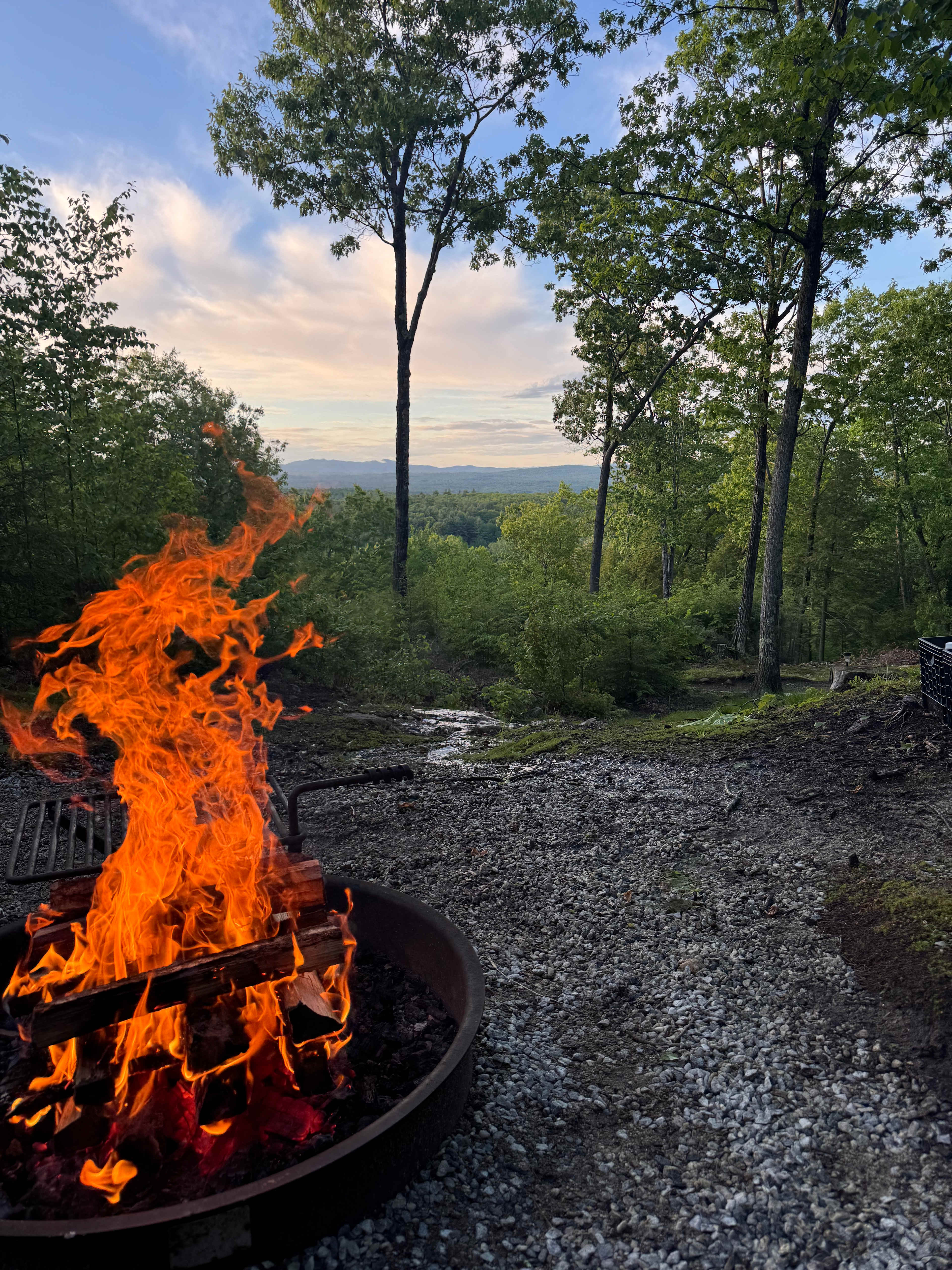 Hussey Mountain Tree Farm