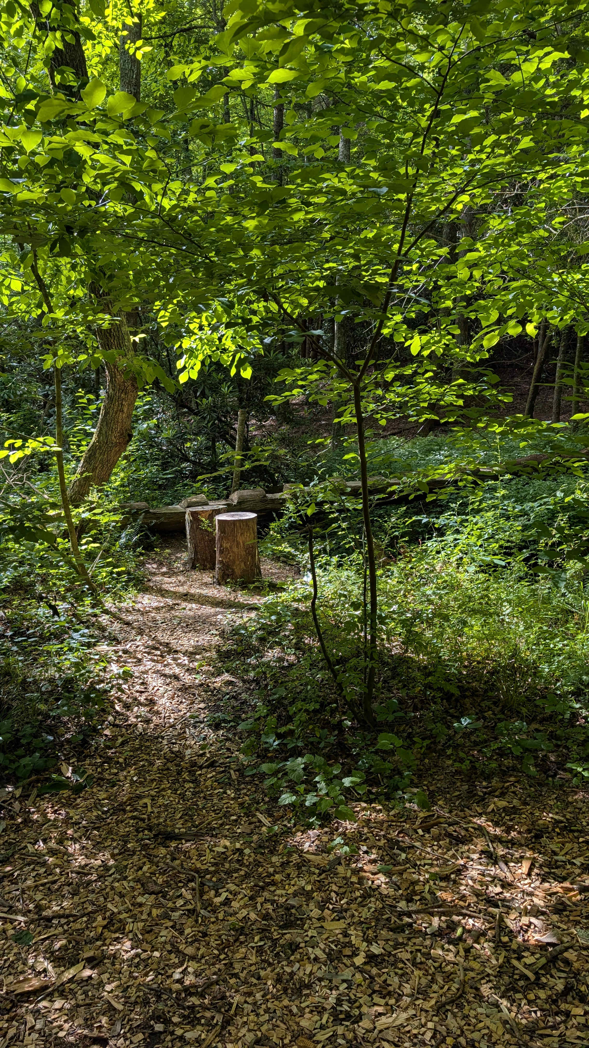Cold Spring Basecamp