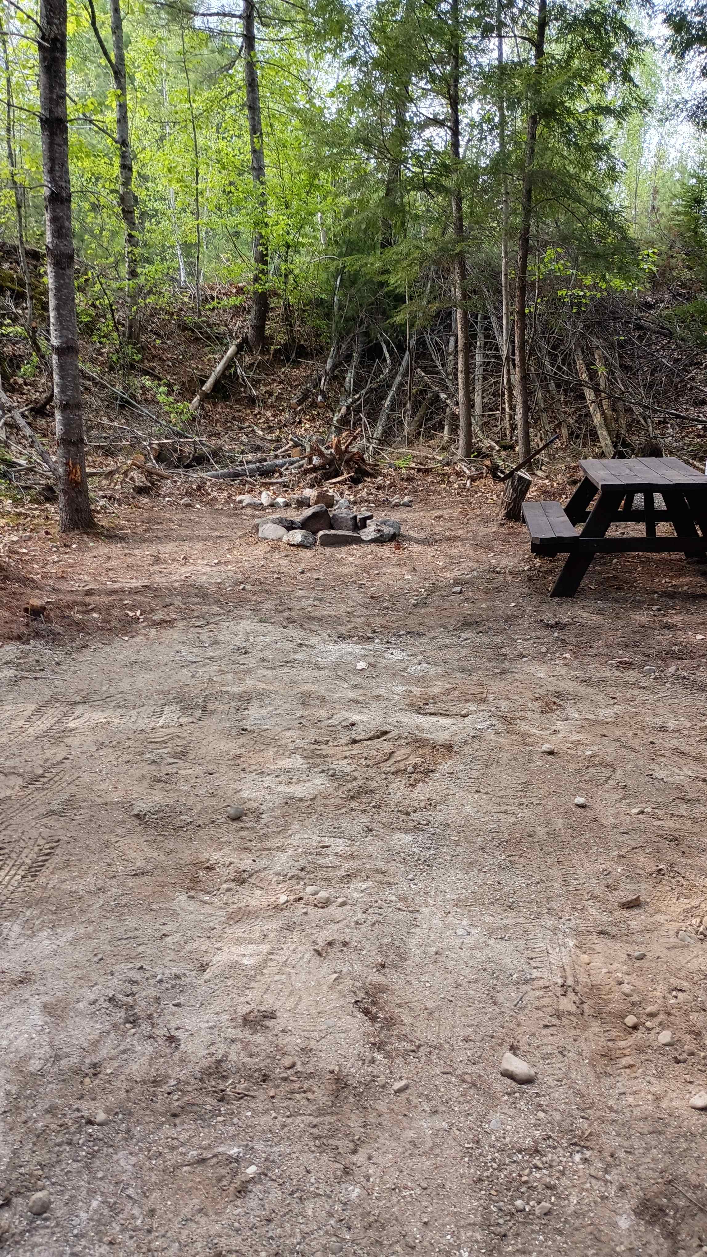Watersrock Woods