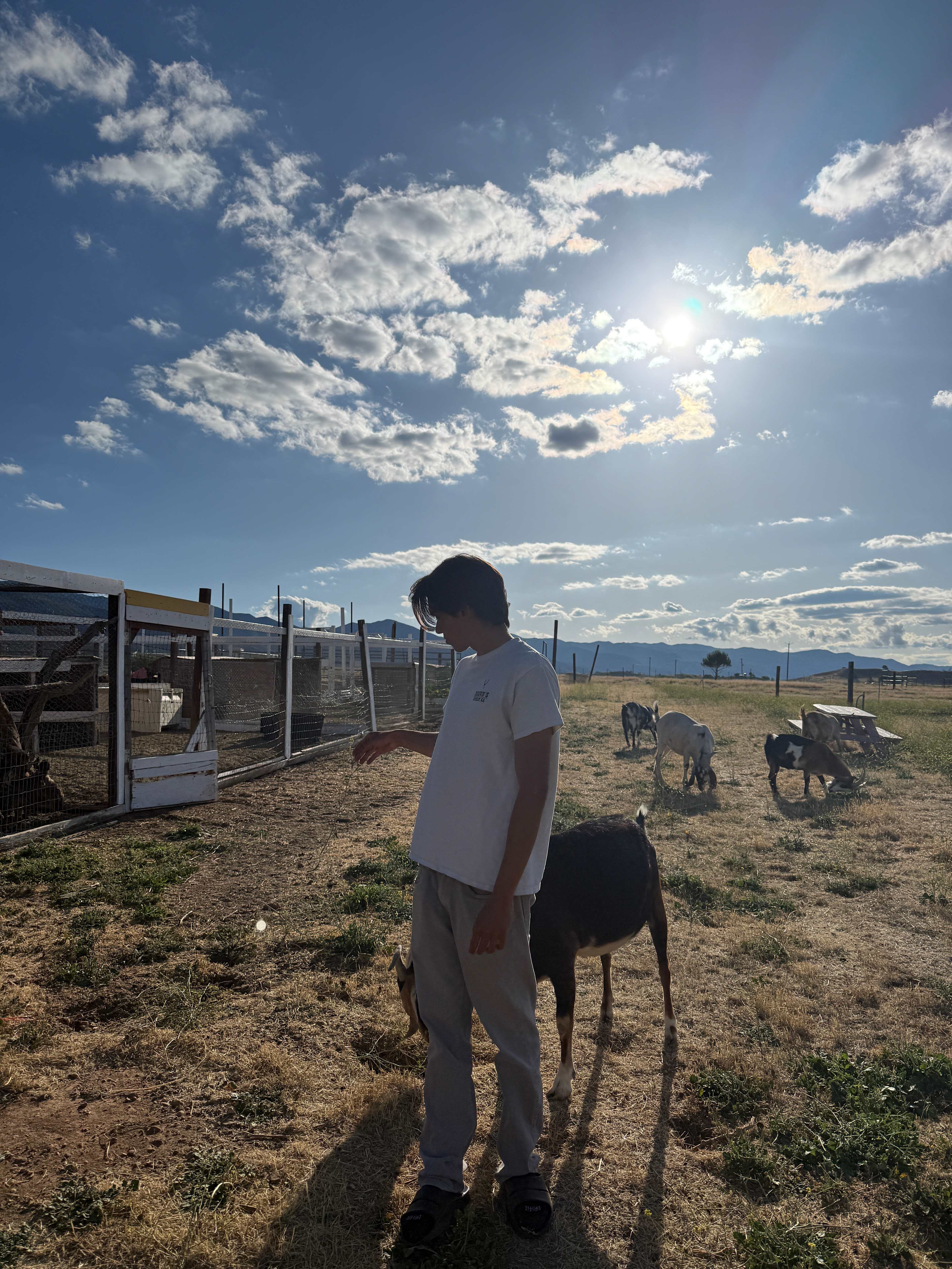 Cuyama Oaks Ranch