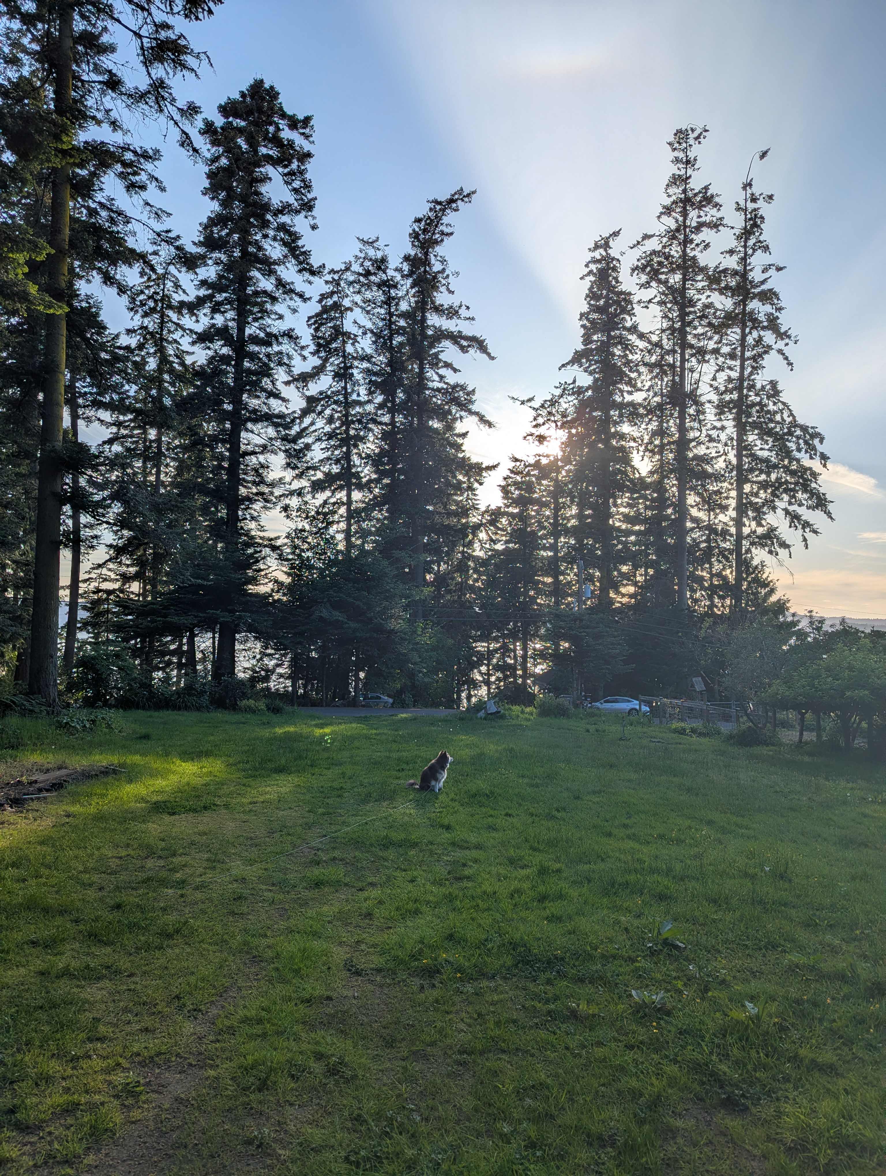 Maple Grove Hideaway