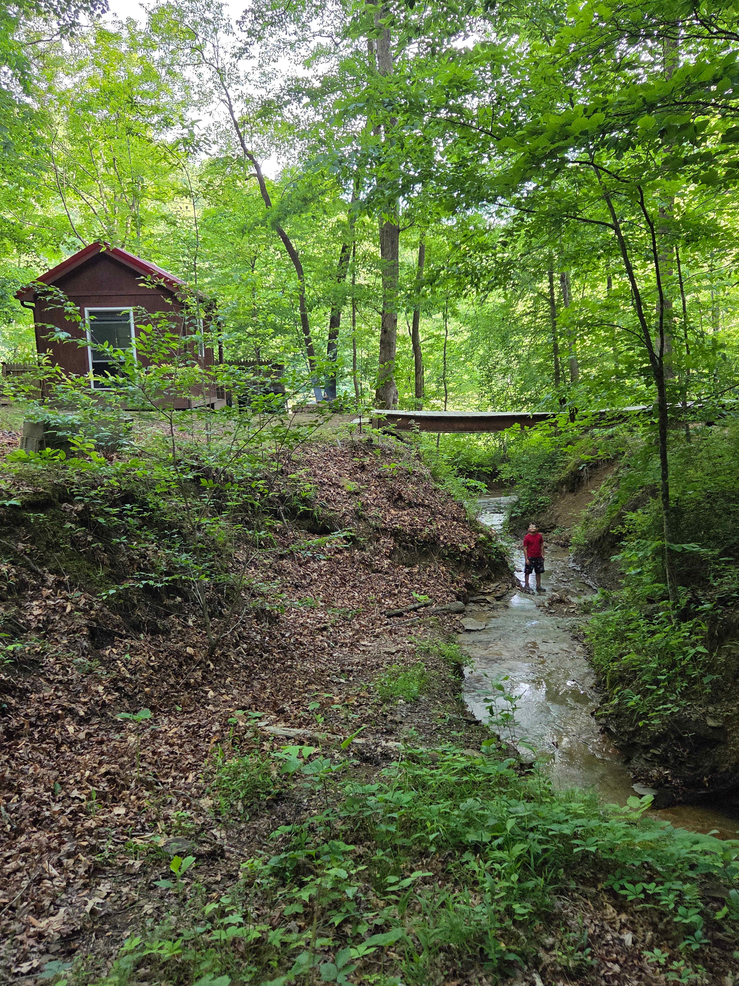Backwoods Hideaway