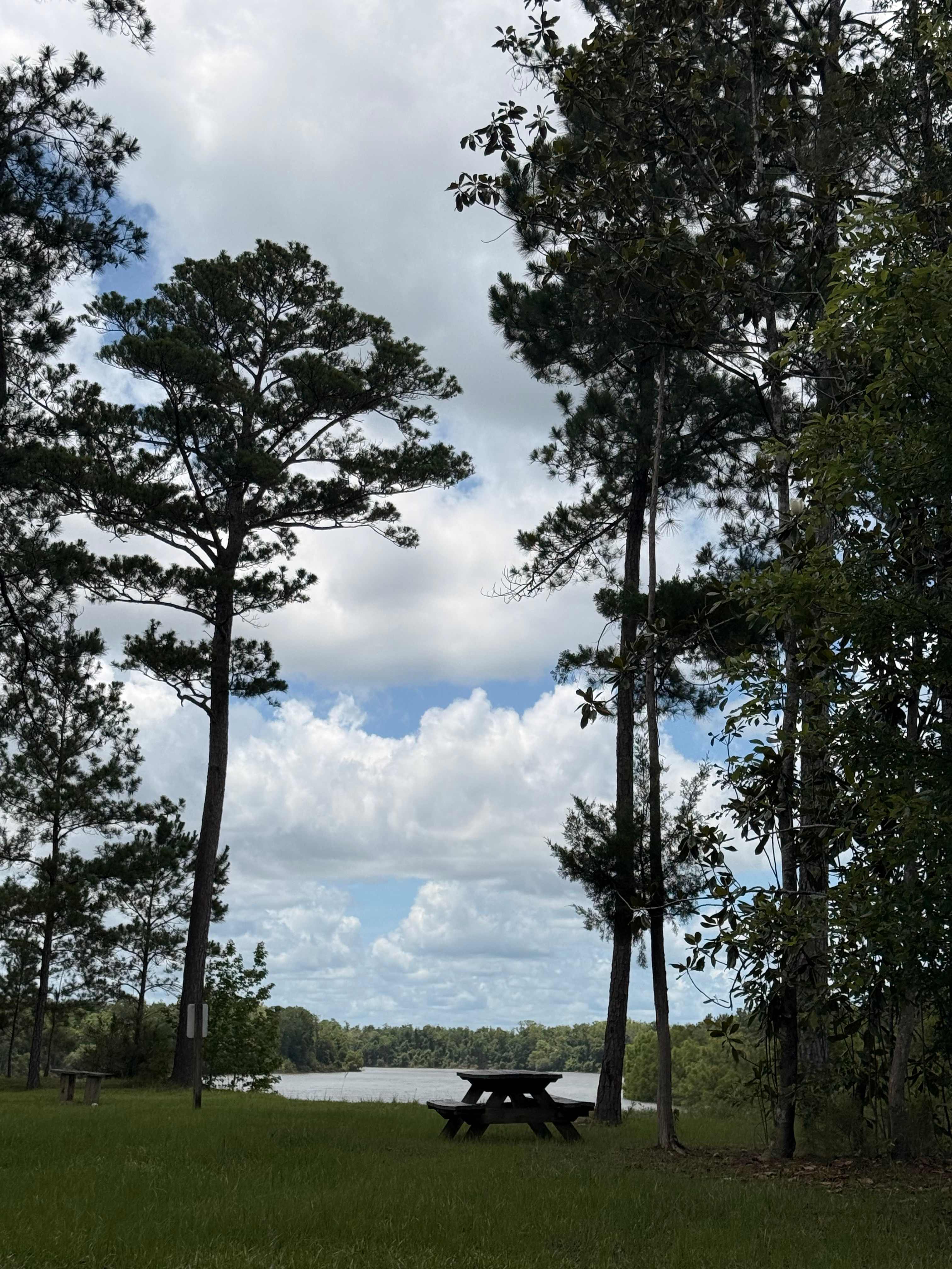 "Sweet Tupelo" on the "Big River"!