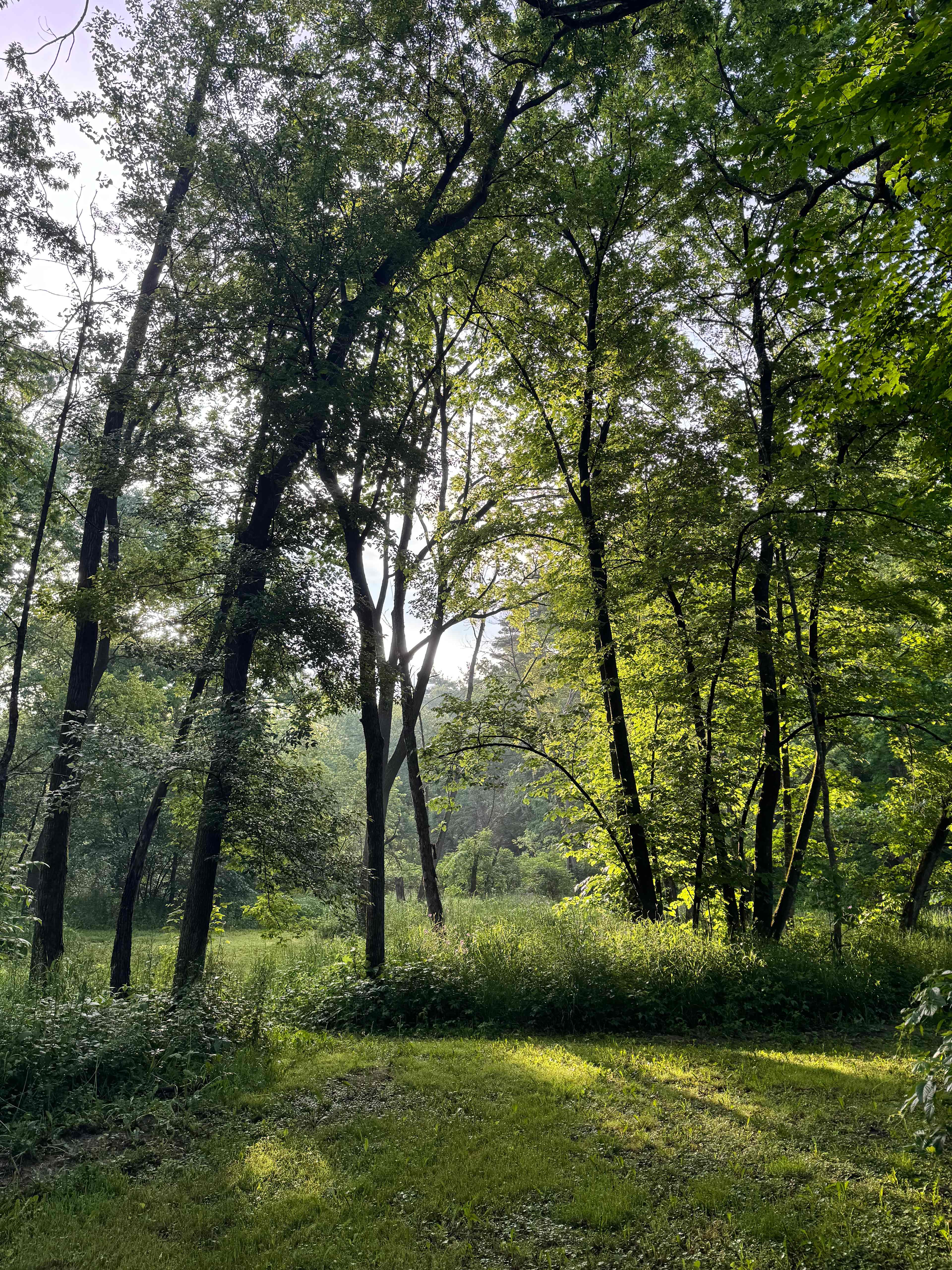 Bluff Hollow Camp on the Root River