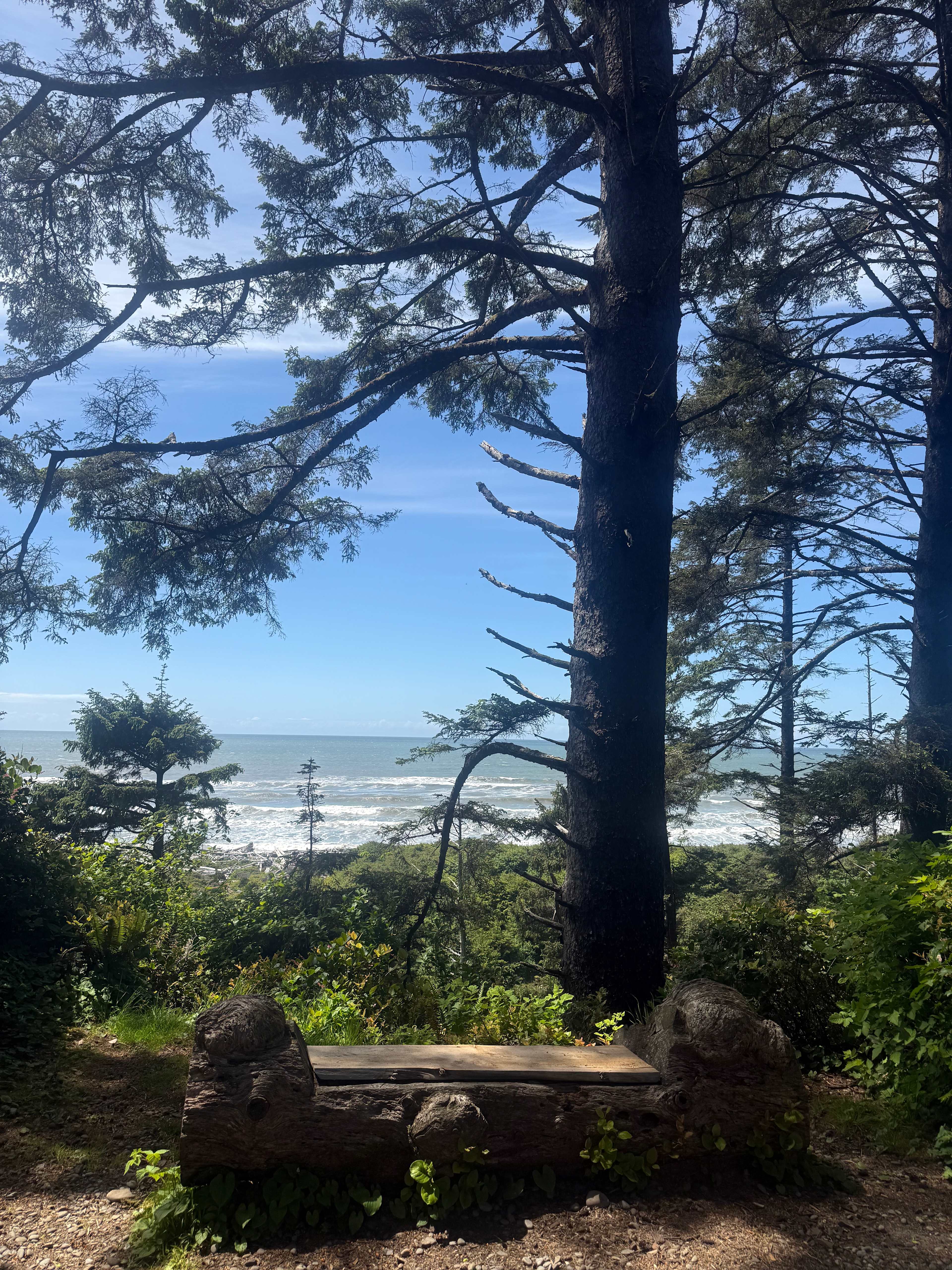Aliya Preserve—WA Coast Eco-Retreat
