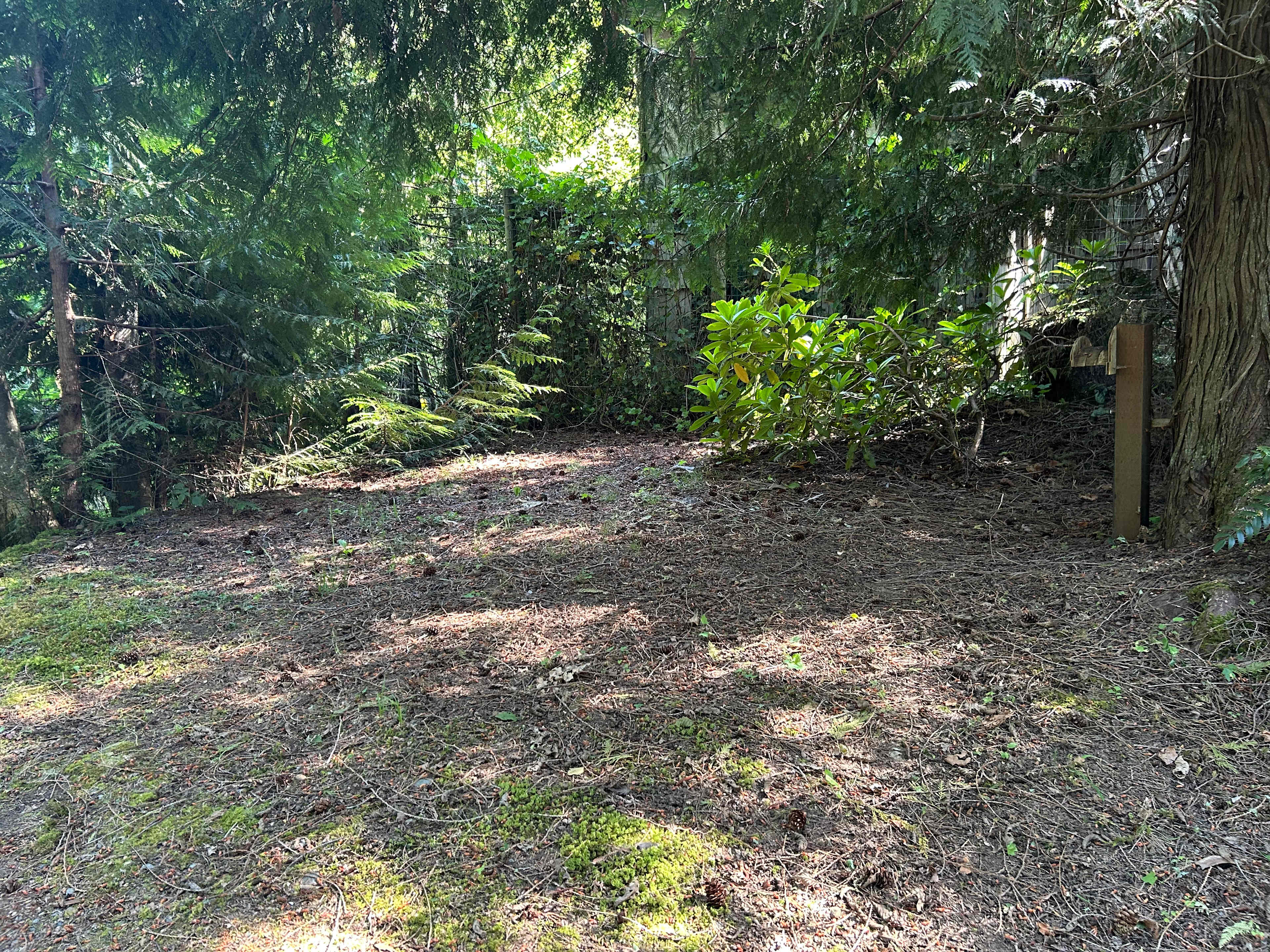 Tent Site 1