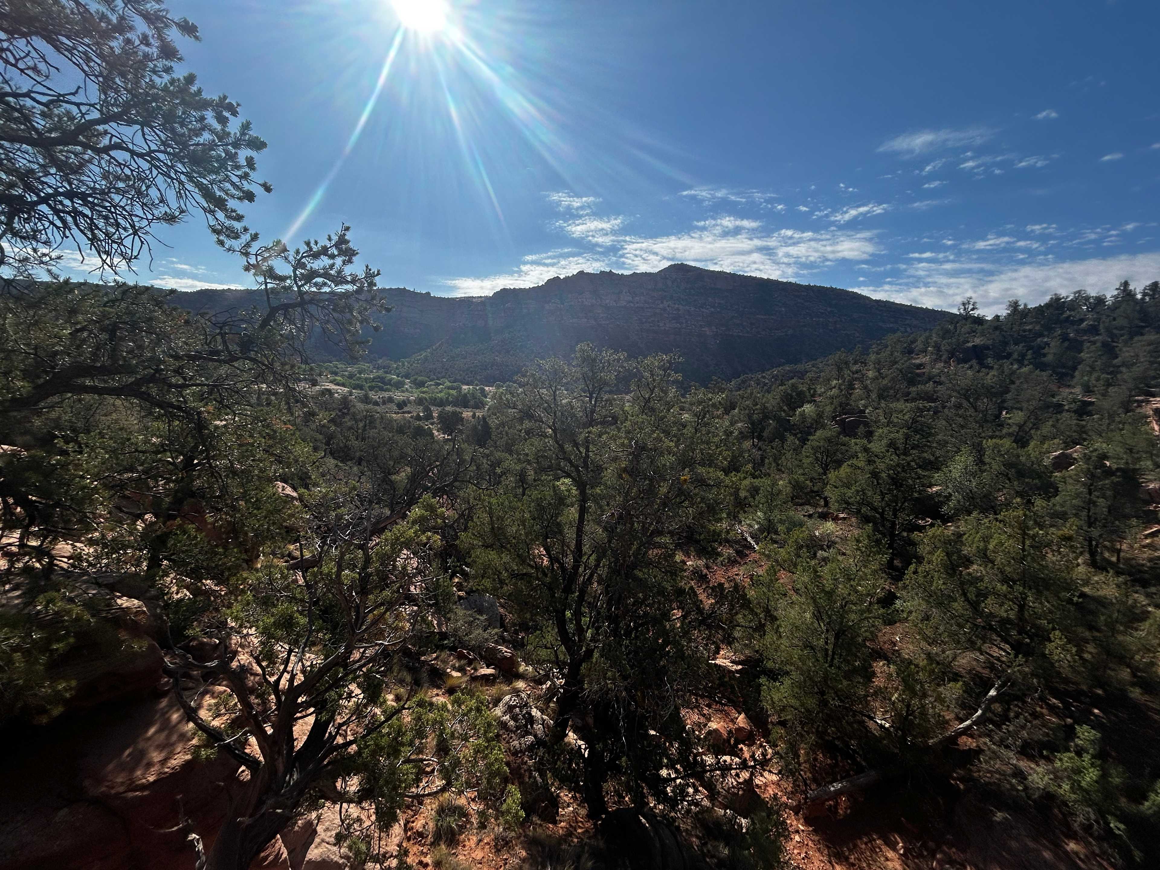 Picture of the site