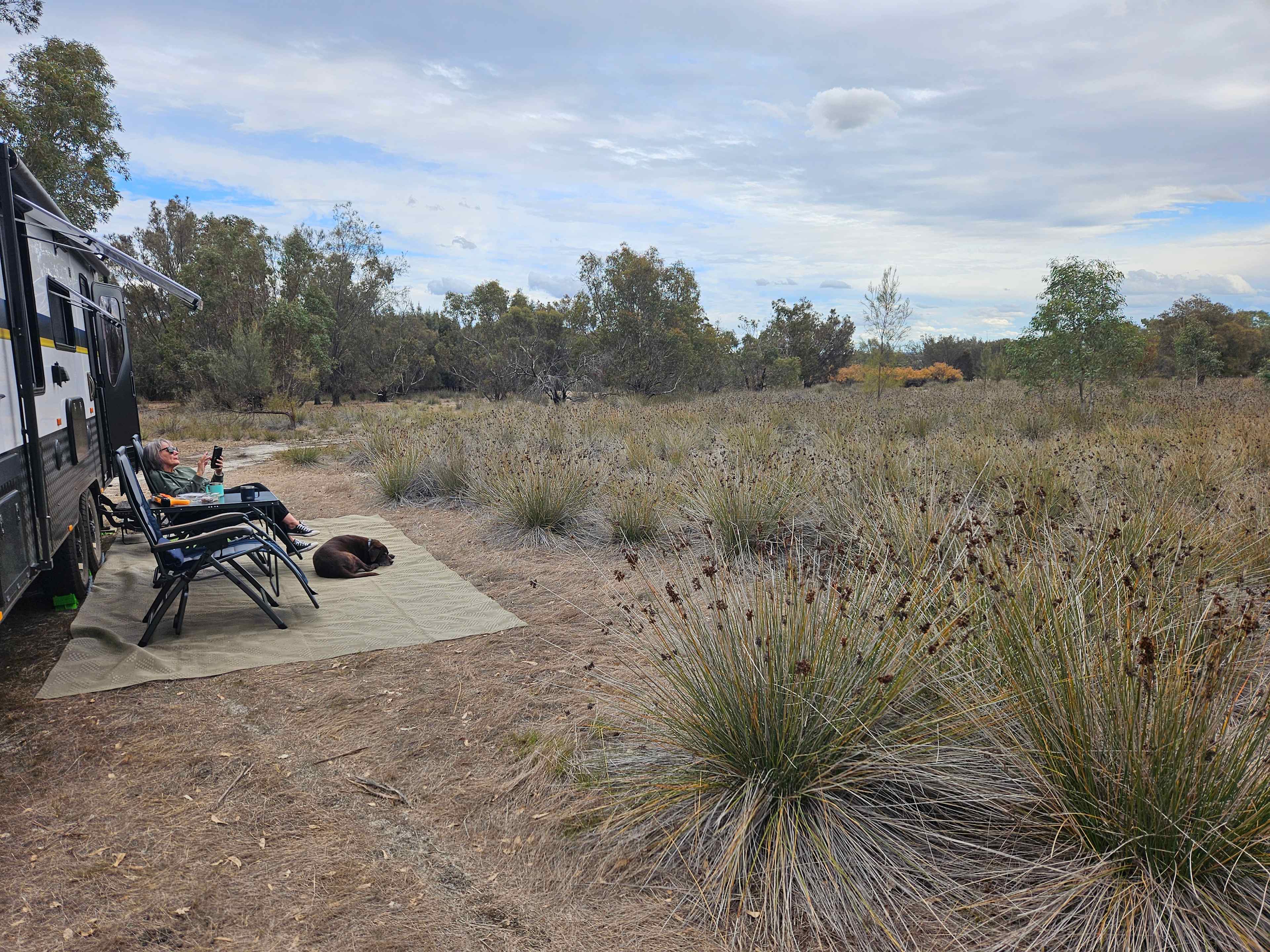 Picture of the site