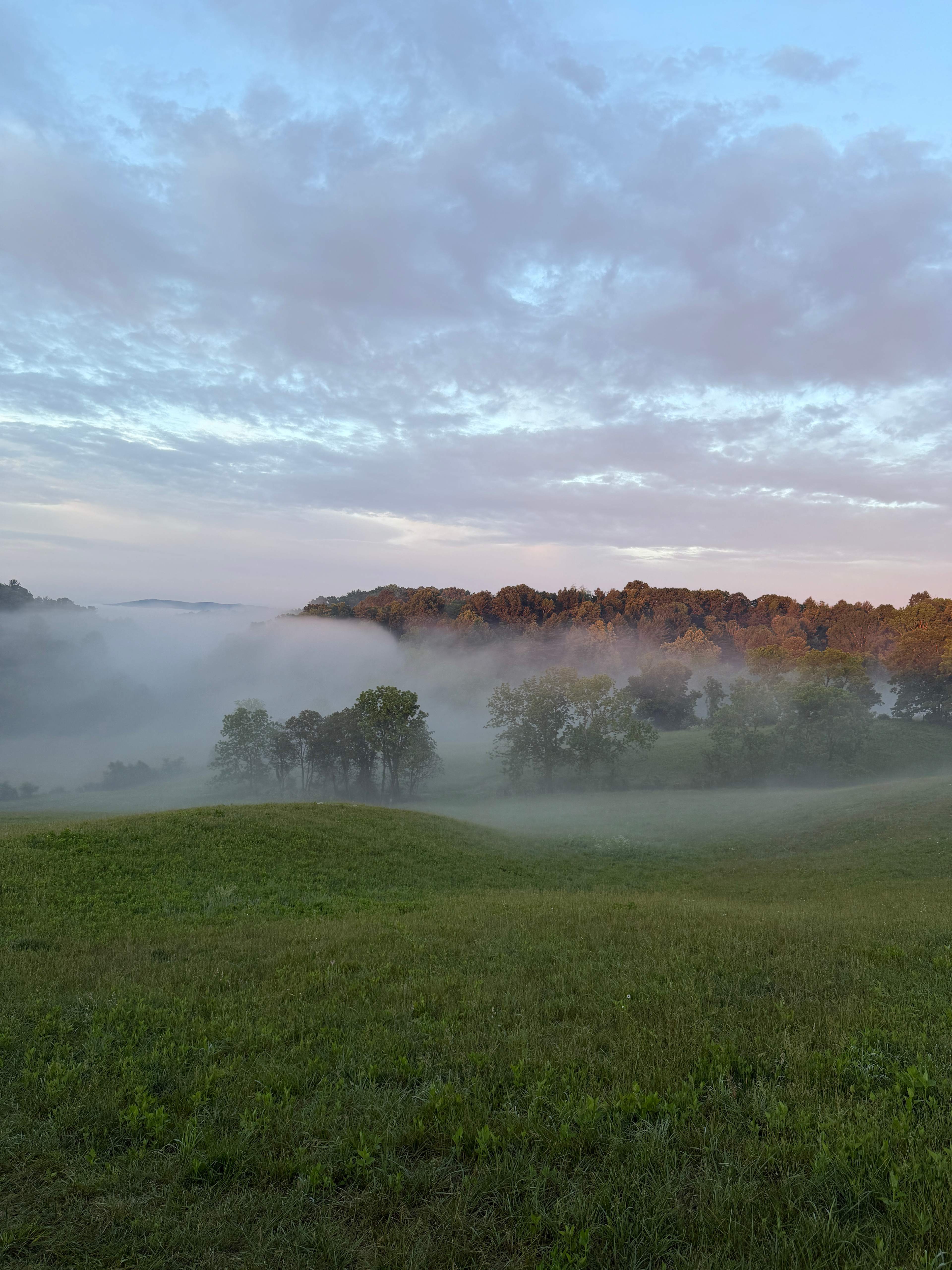 100 Acre Wood