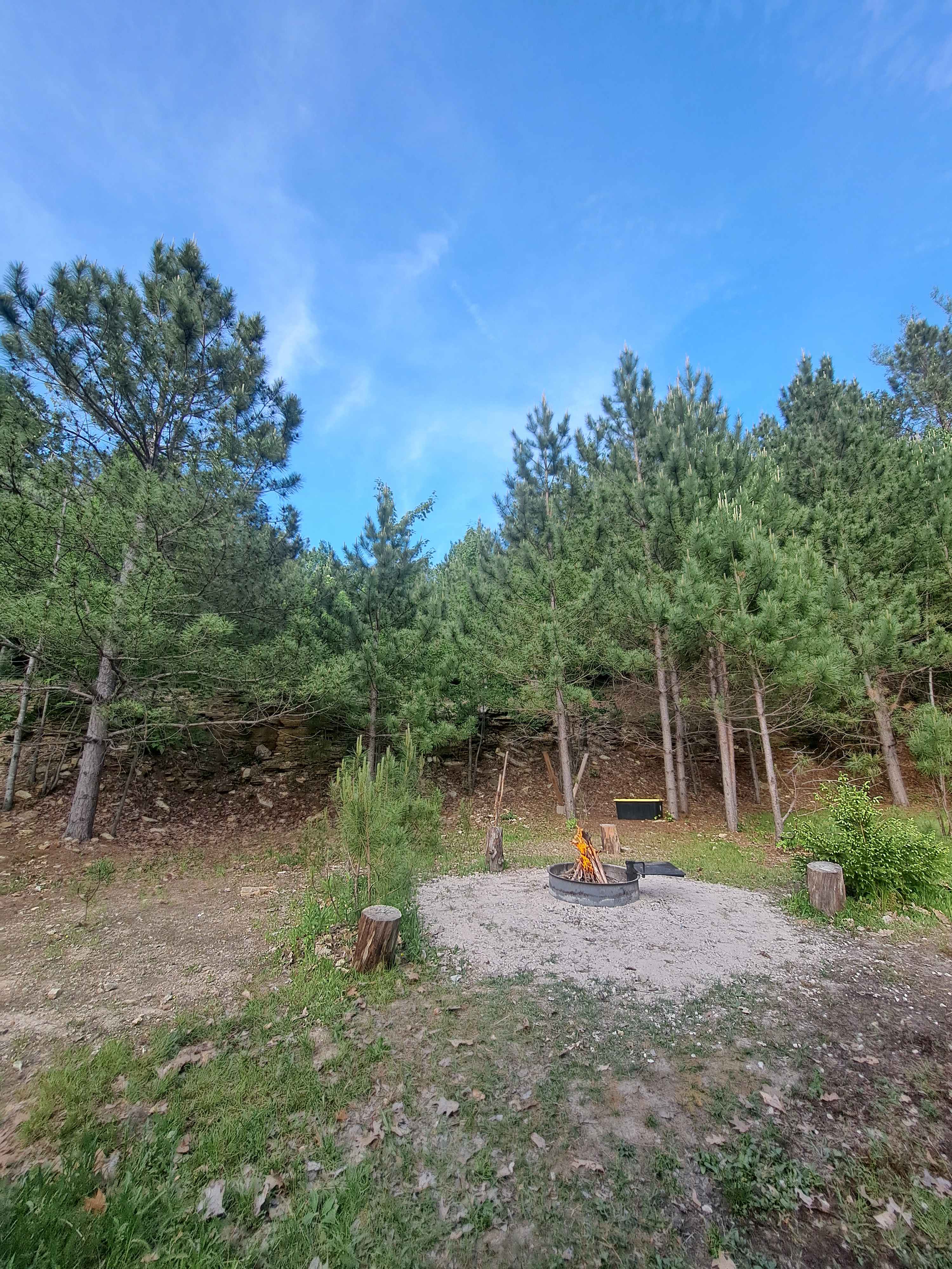 Meteor Ridge Forest