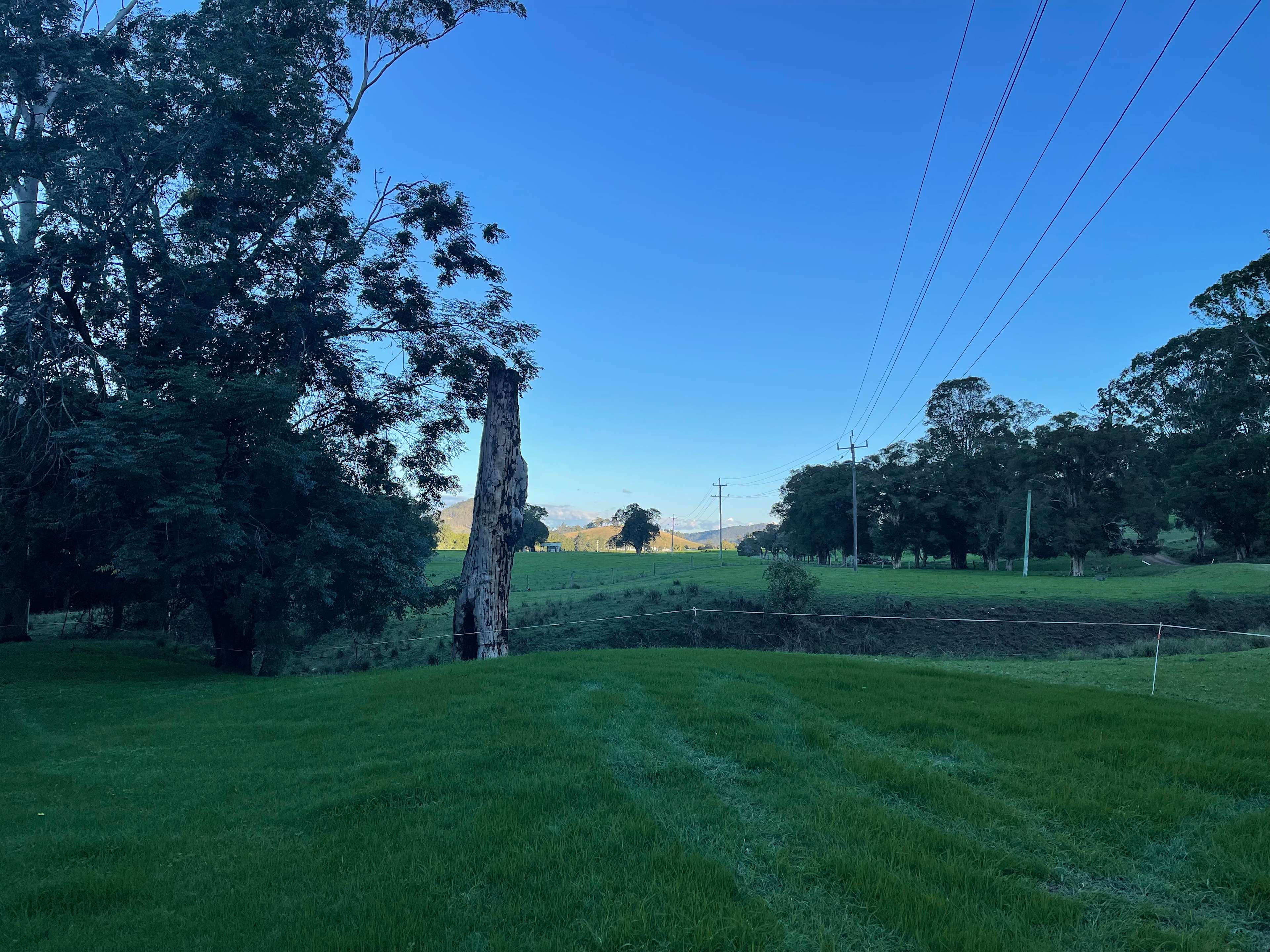 Willowbank