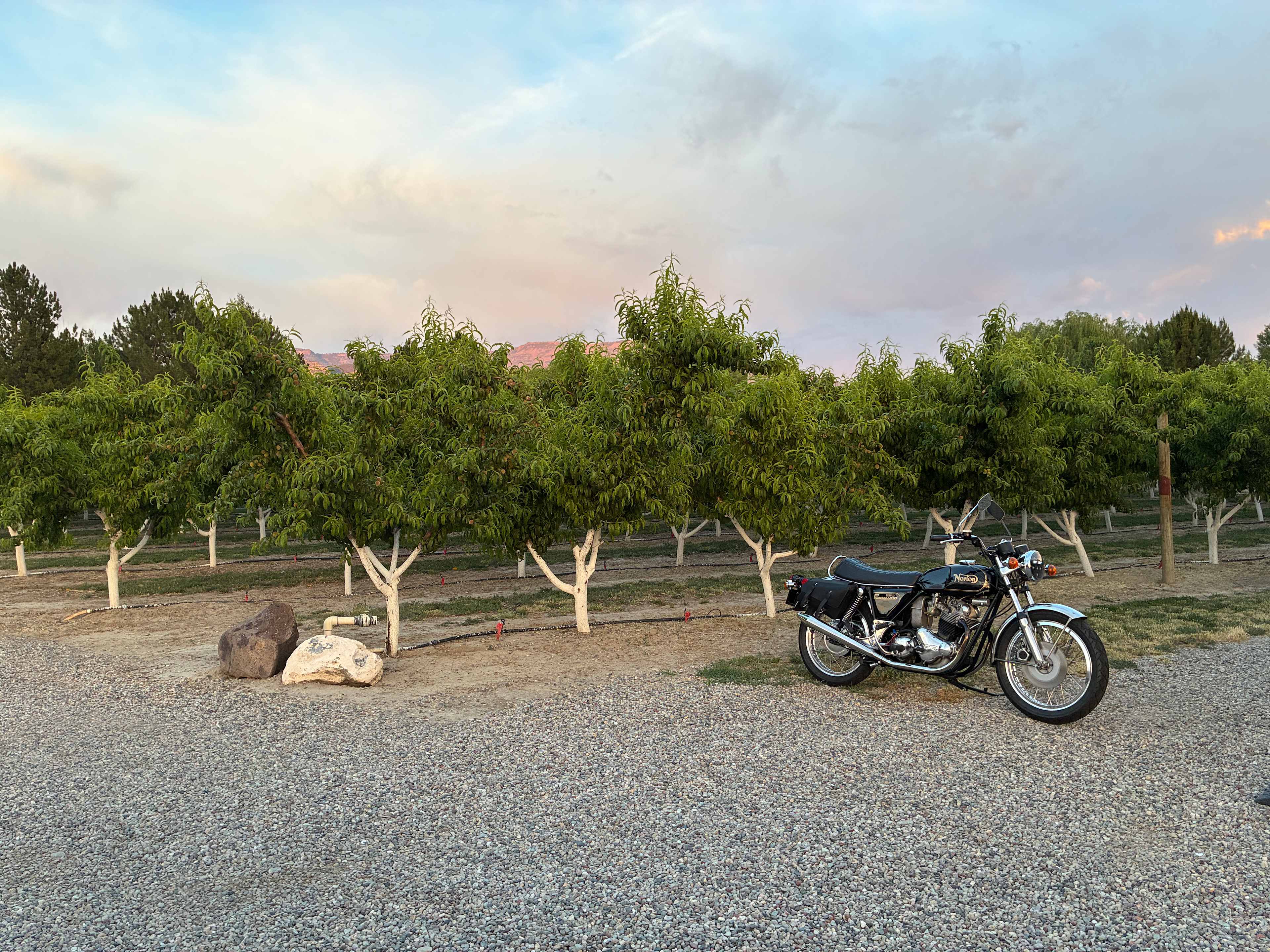 Double D Orchards