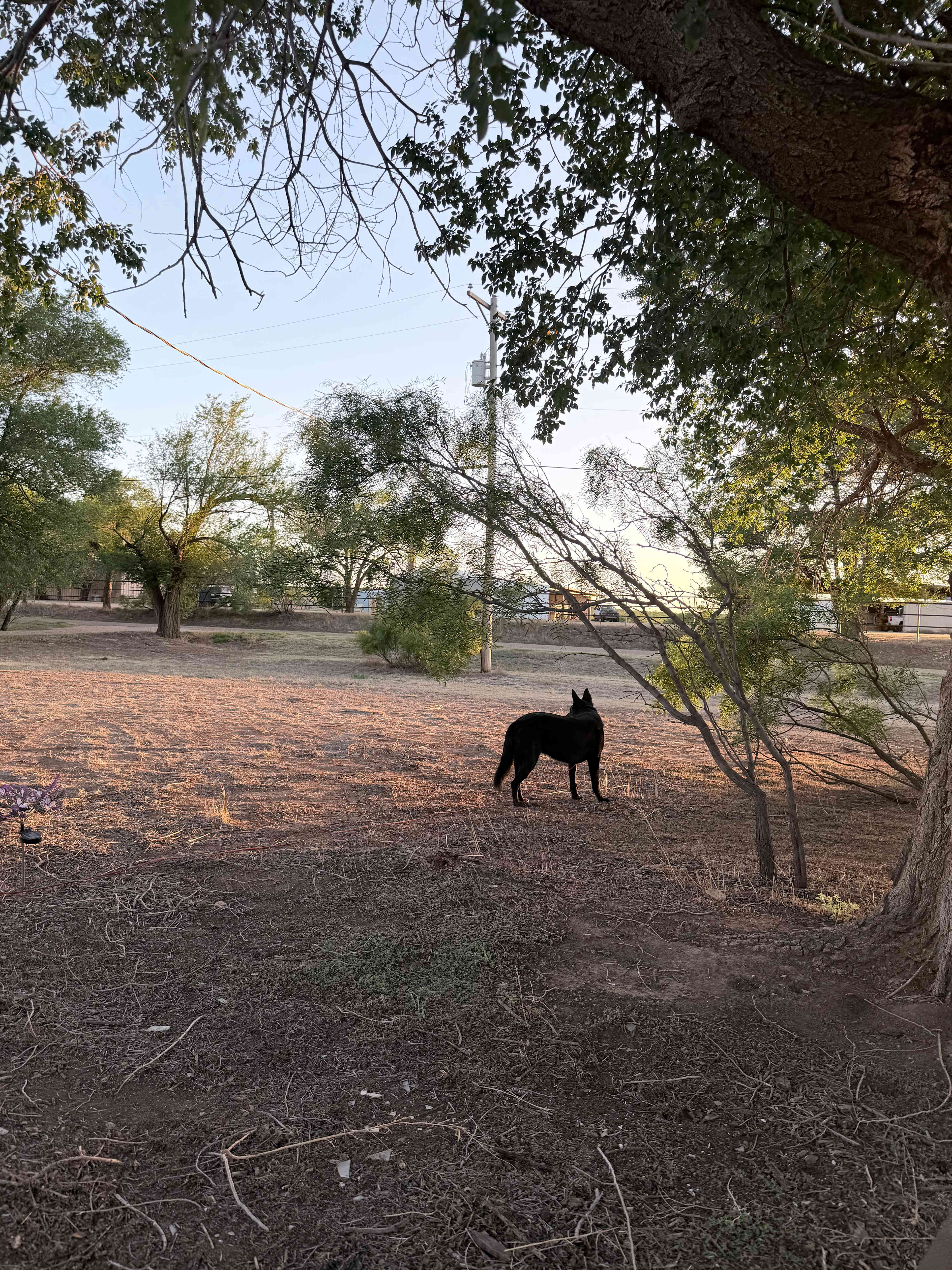 April's Slice Of Country