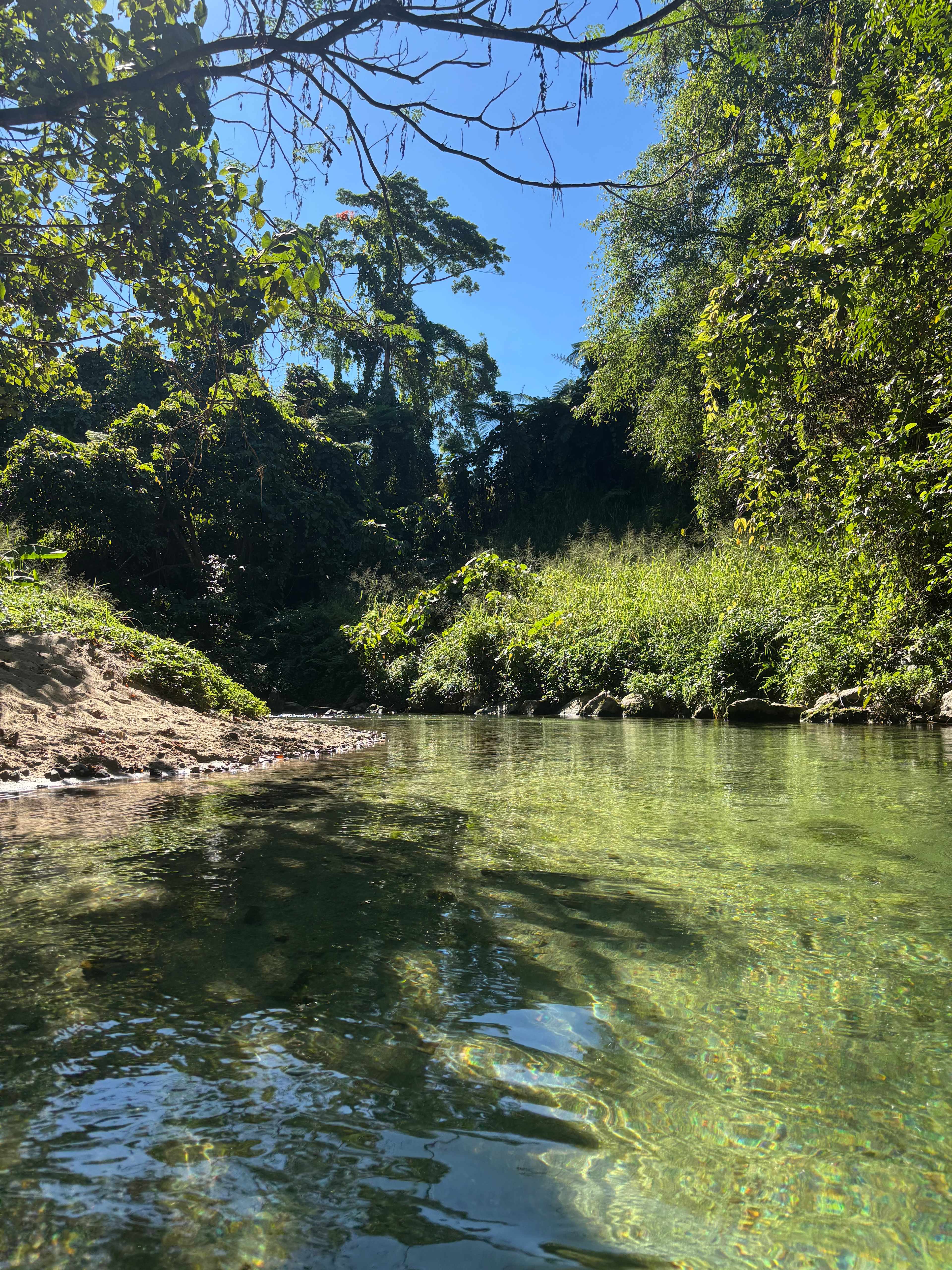 Paradise Camps