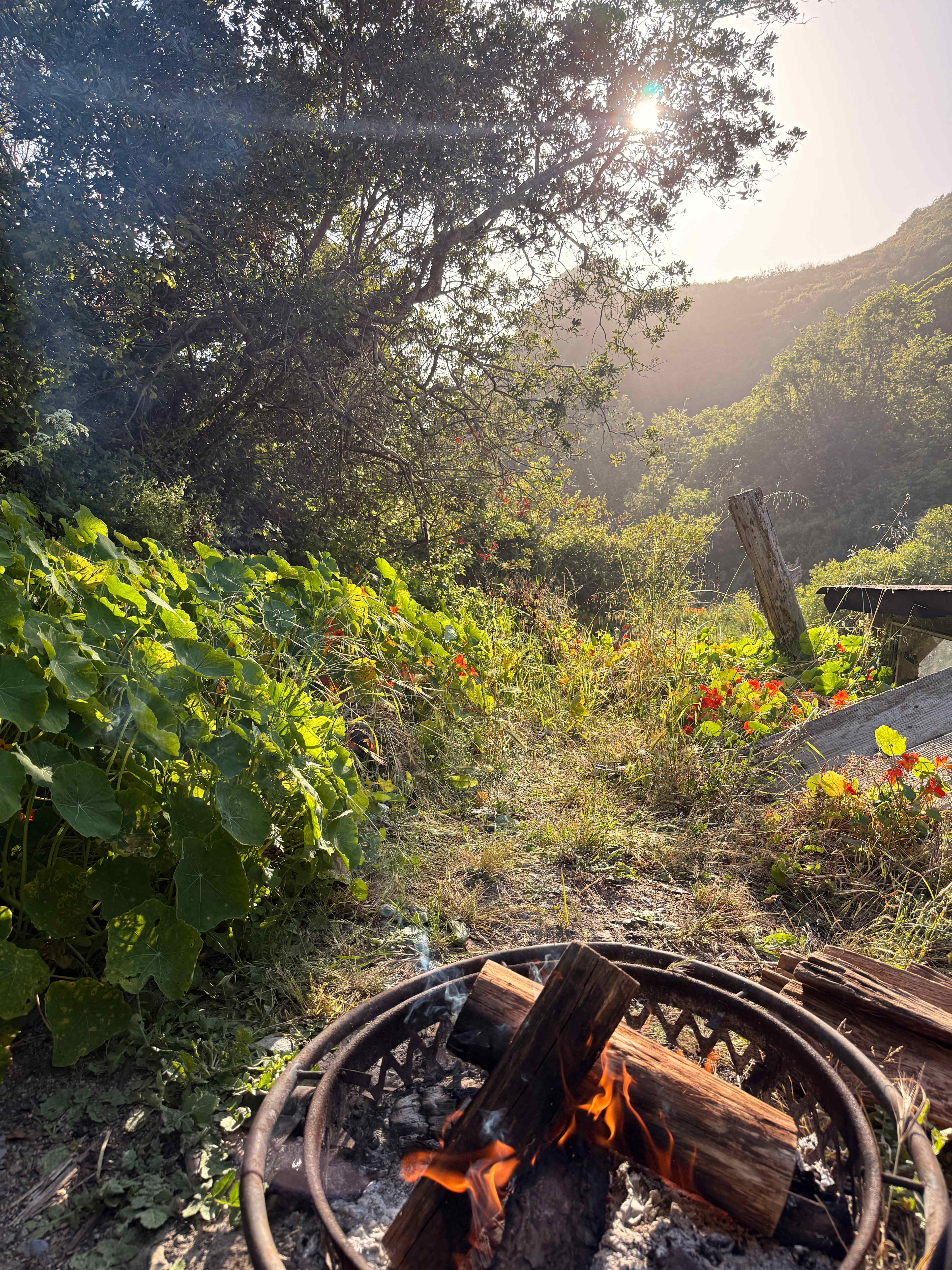 dabudage Big Sur