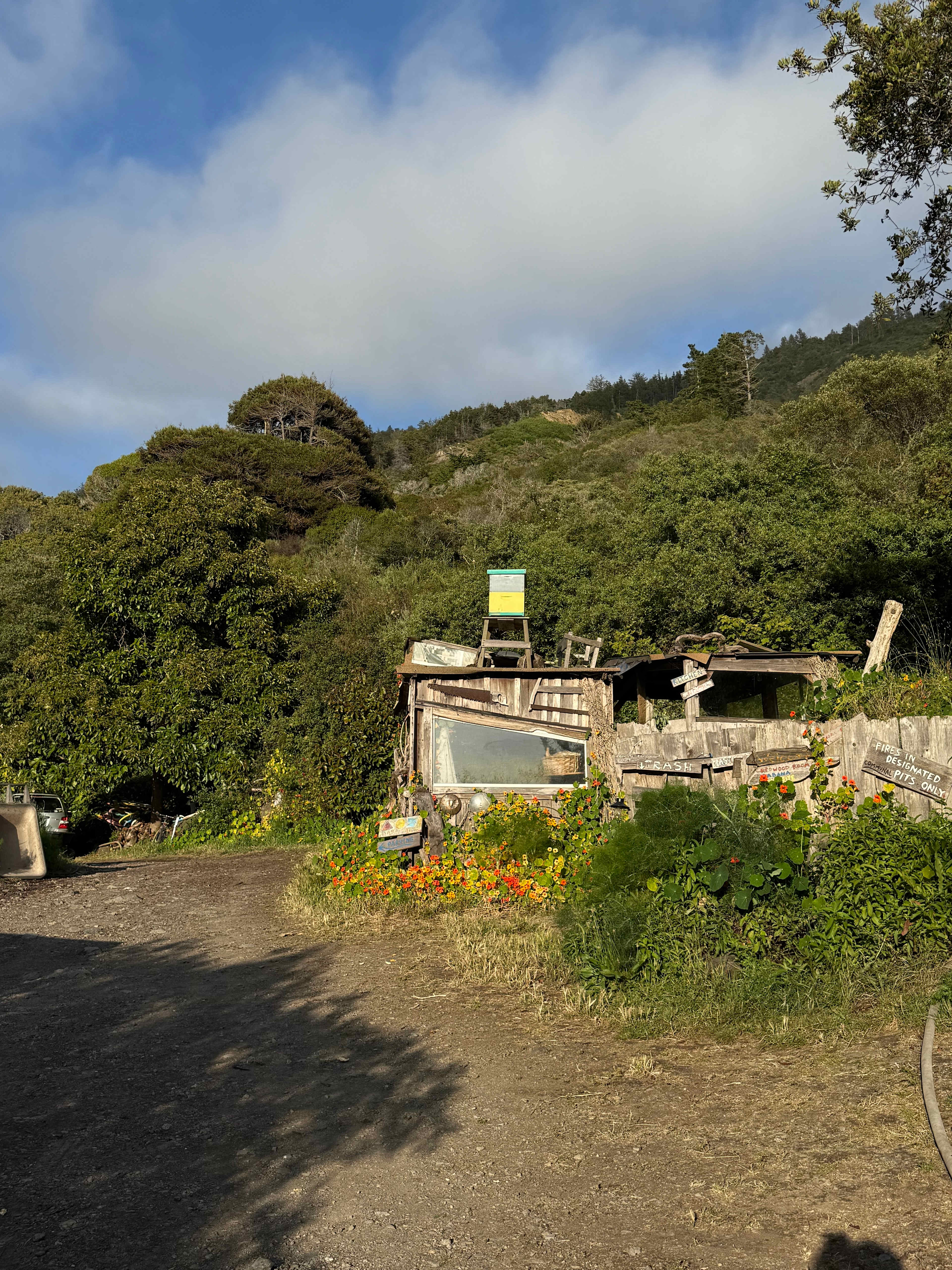 dabudage Big Sur