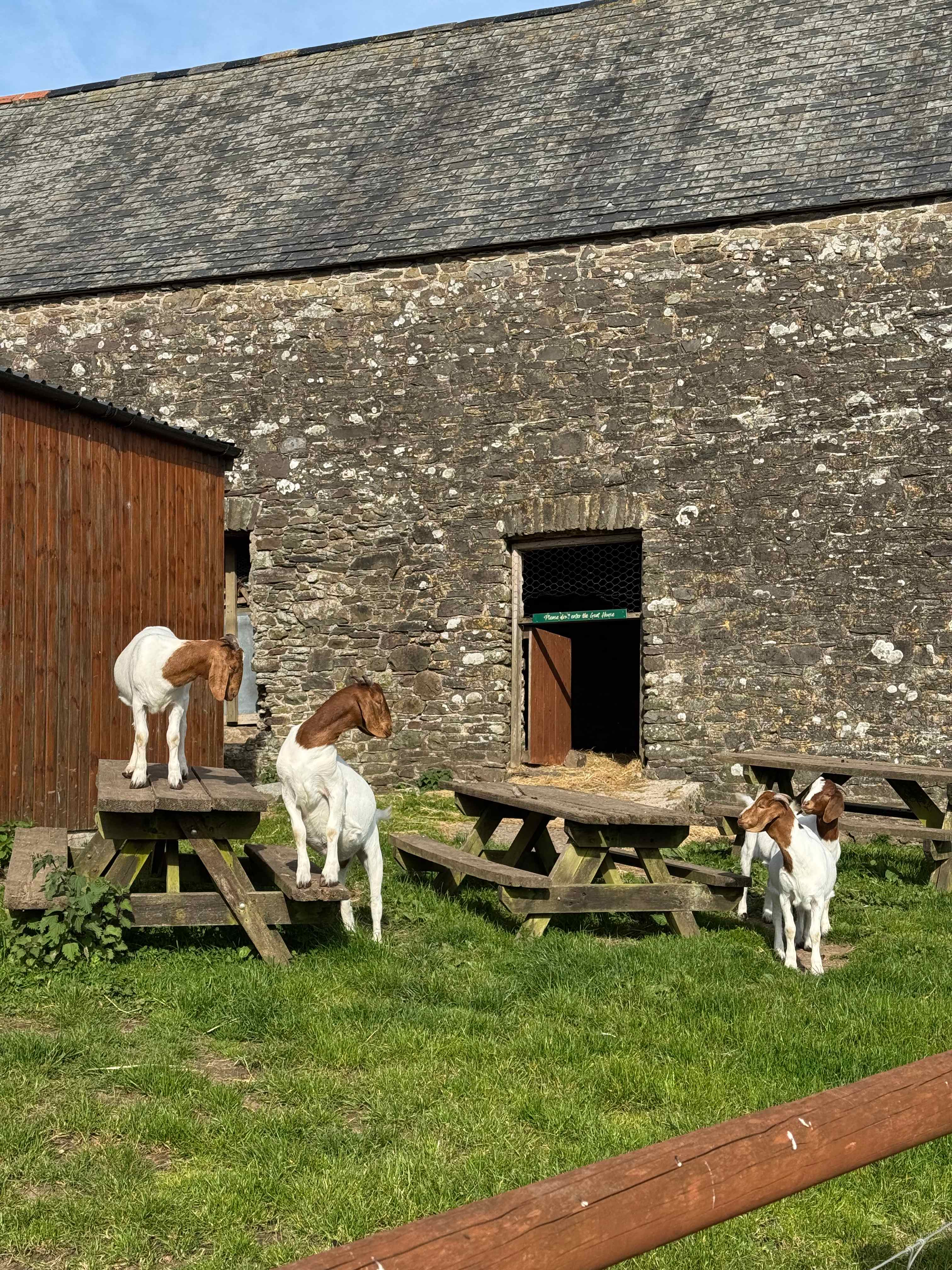 Caffyns Farm Camping