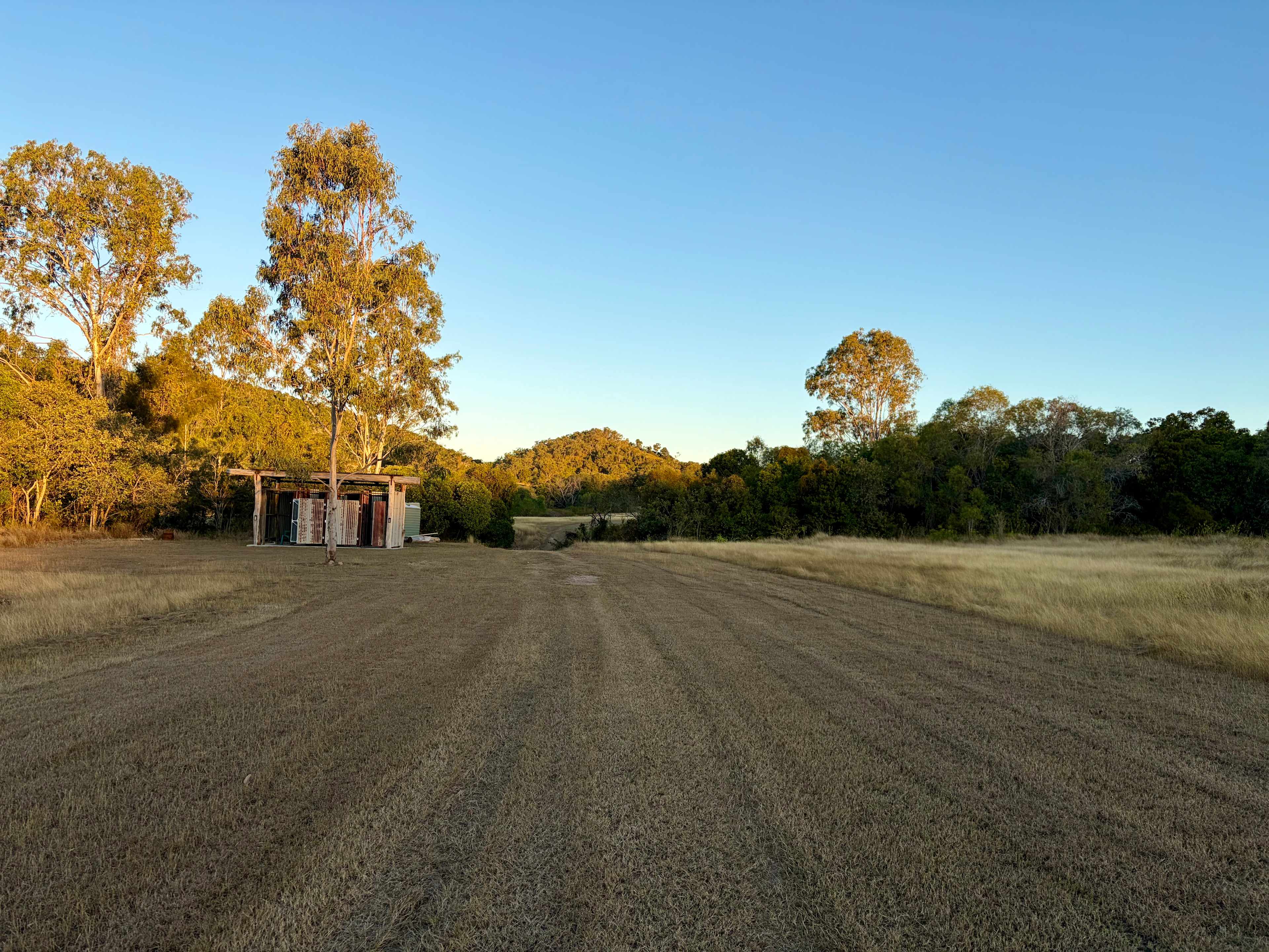 MT. L Bush Camp