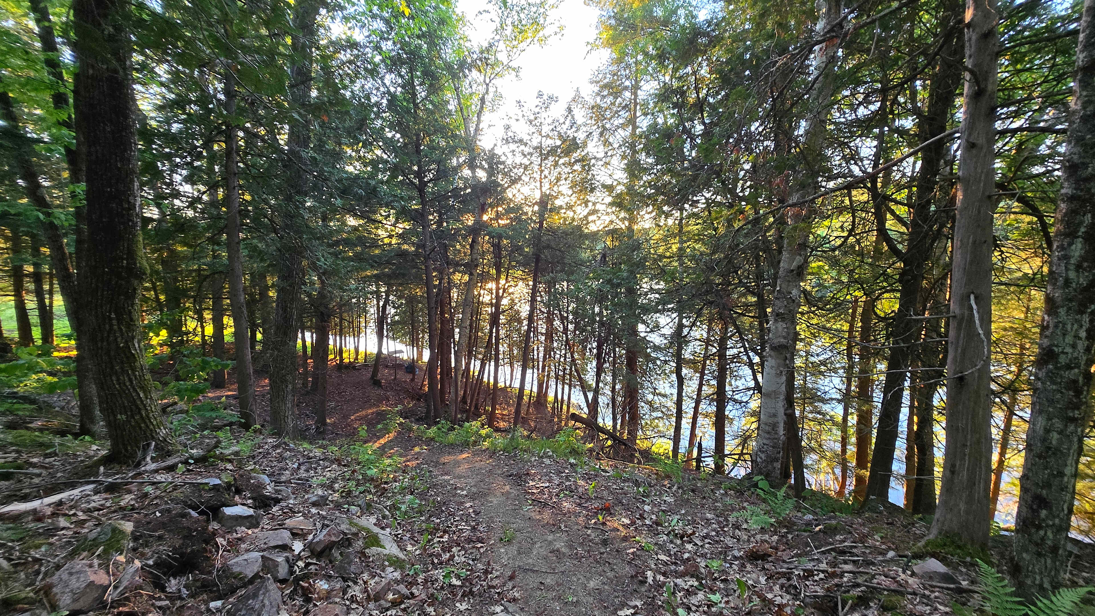 Path leading to the water