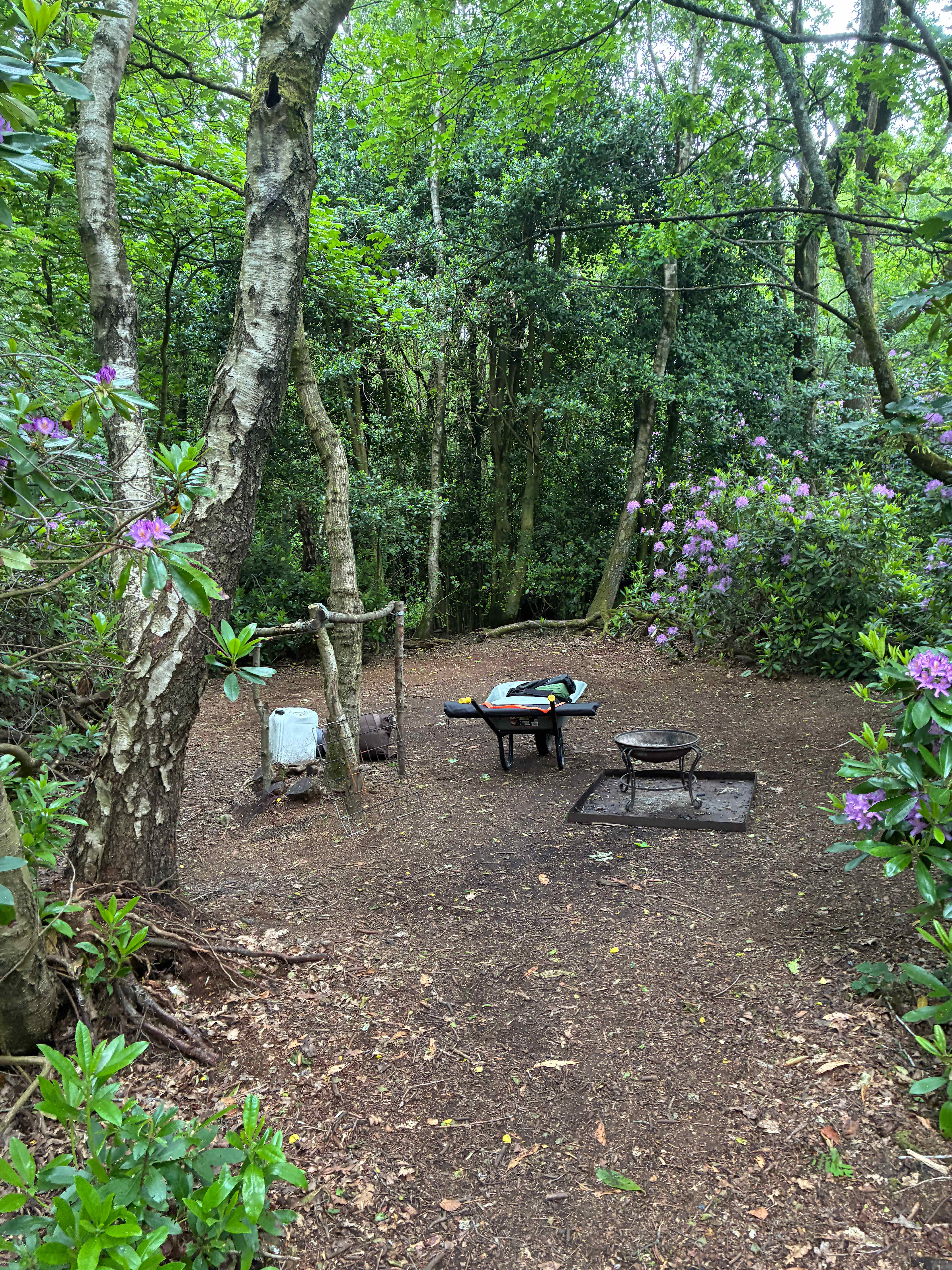 Woodsworth Exploring