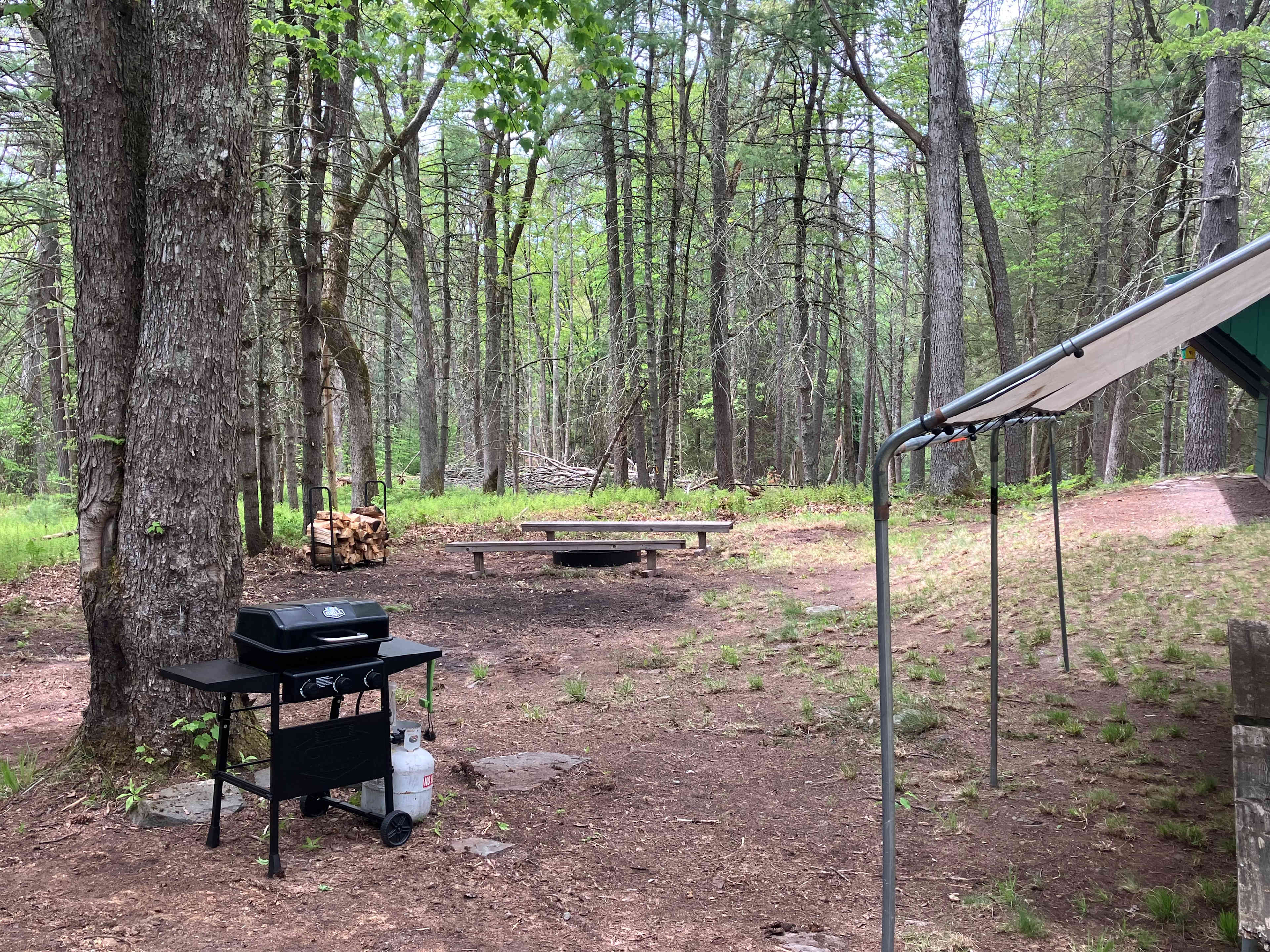 Picture of the site