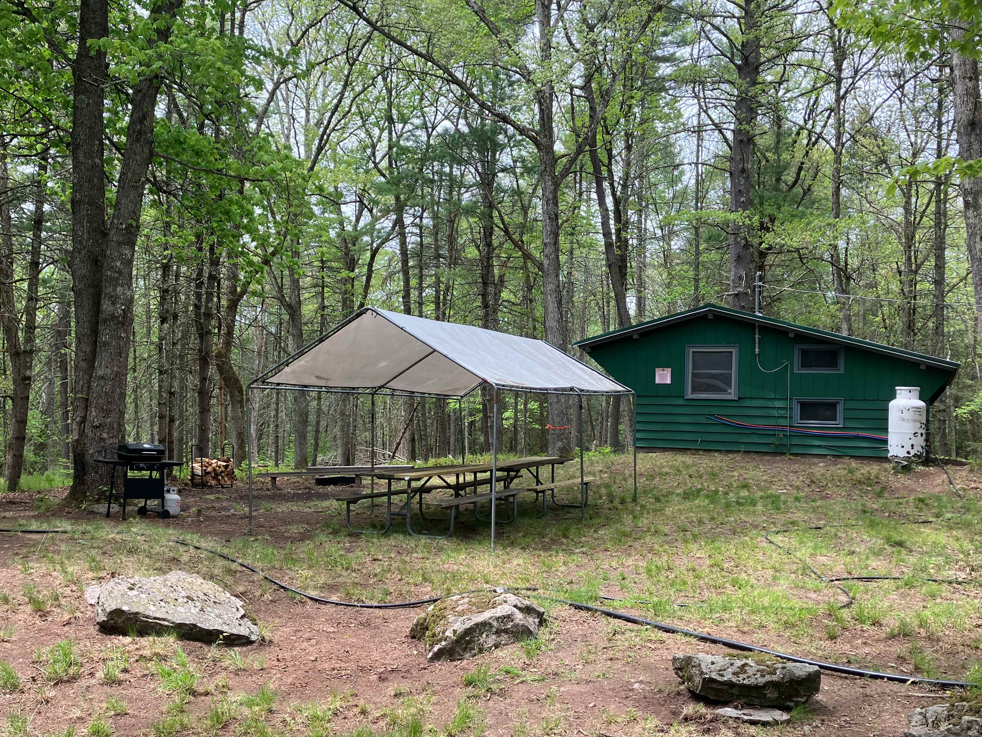 Picture of the site