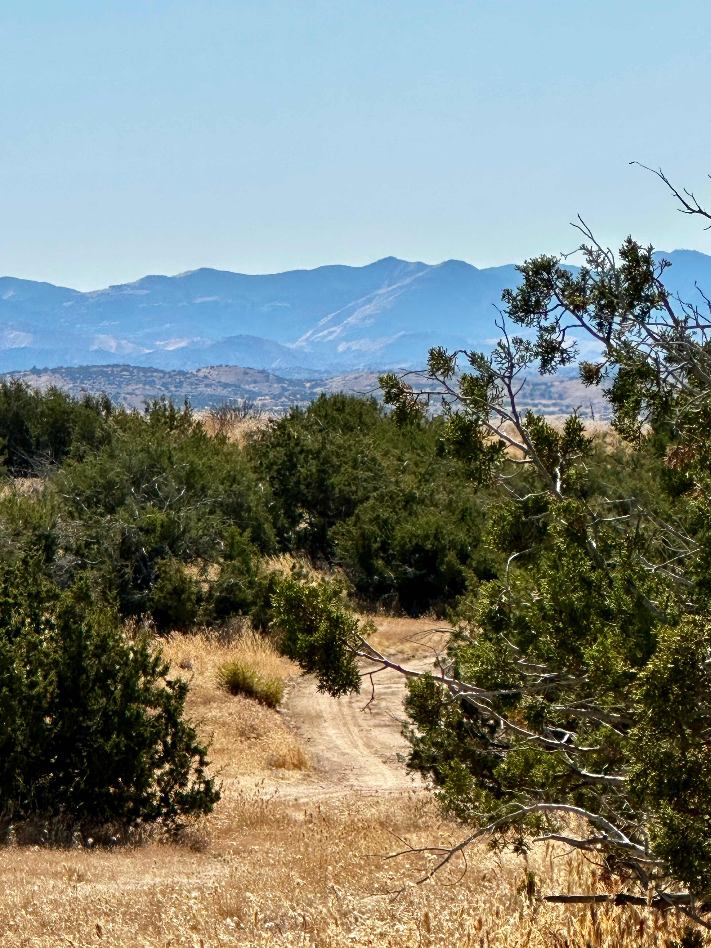 Cuyama Badlands