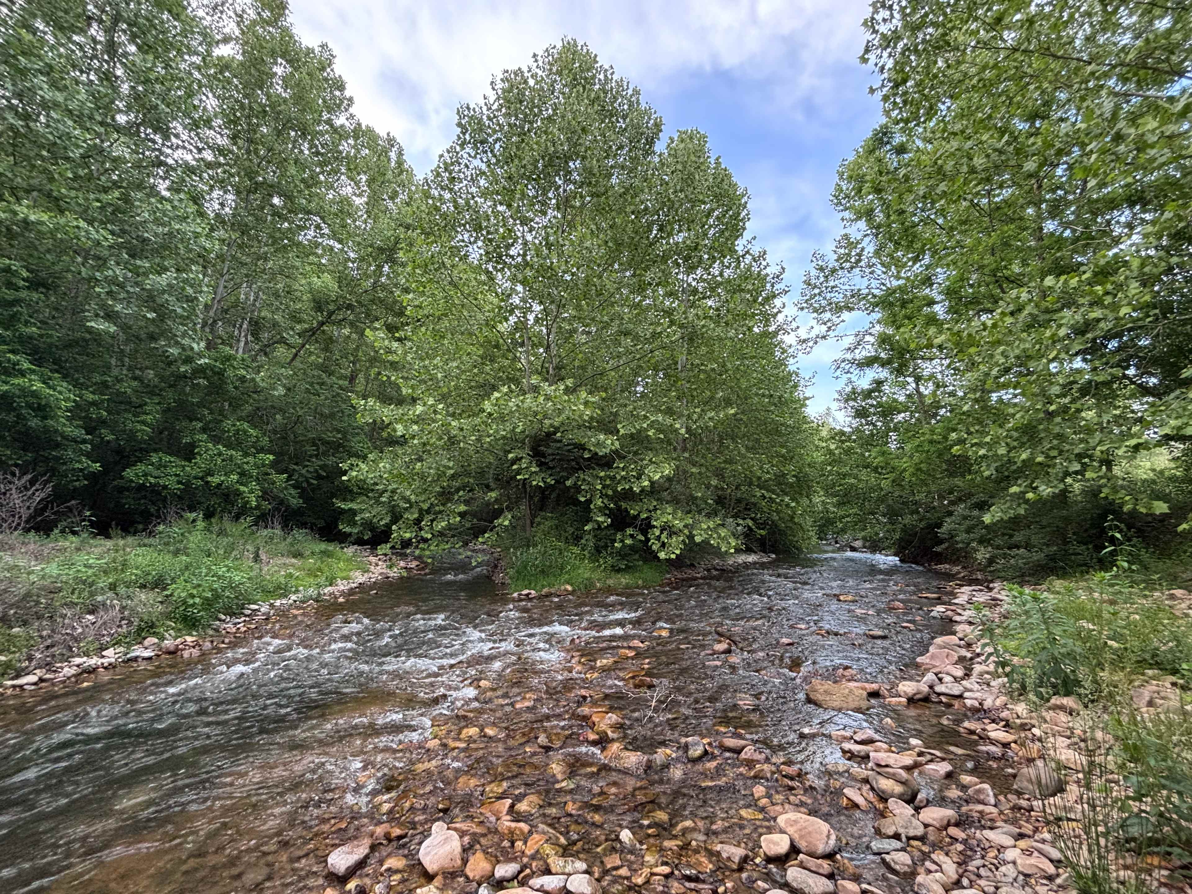 Swedish Lilac Campground & Events