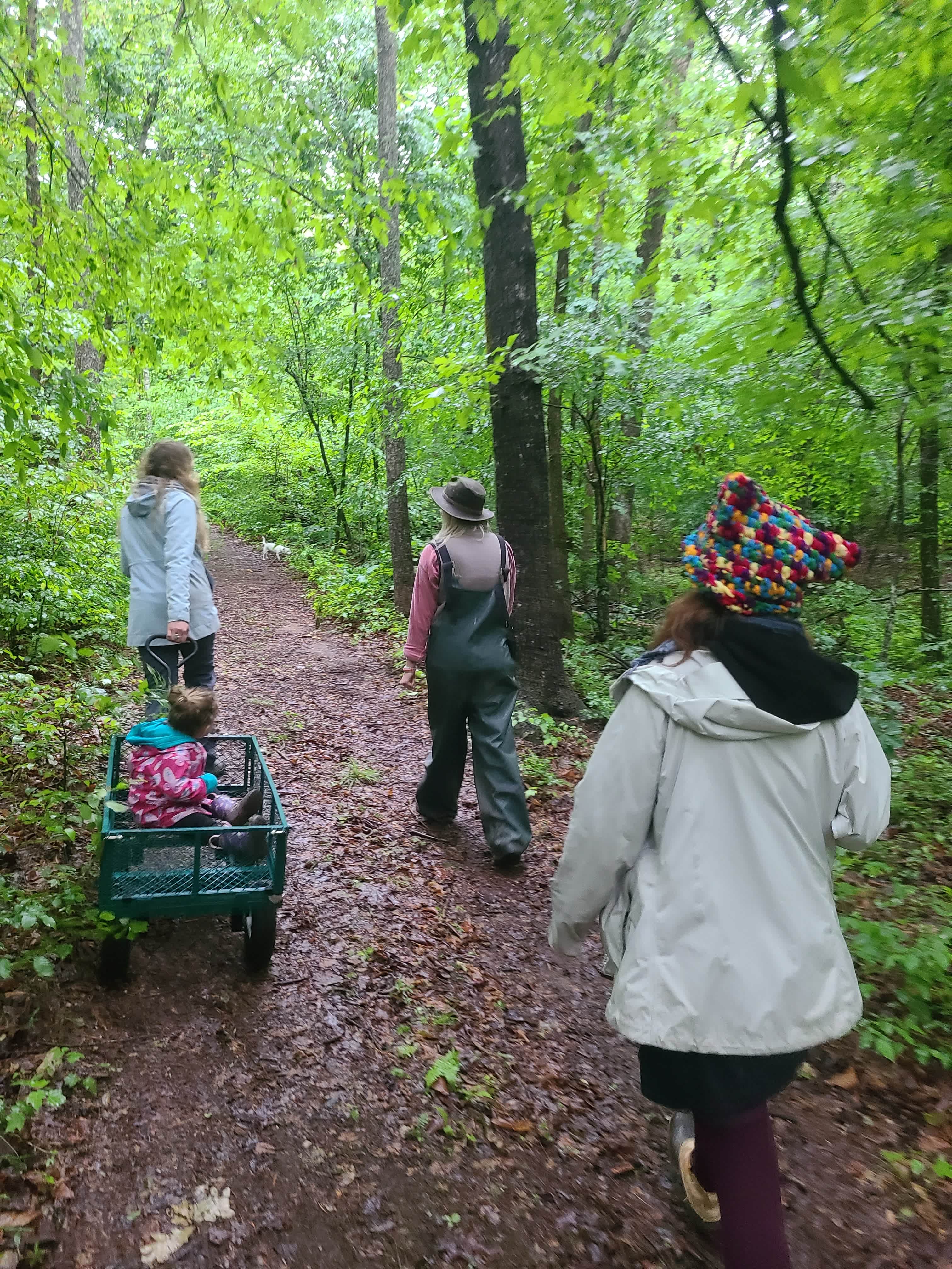 Wide easy paths, and wagon that came with the site