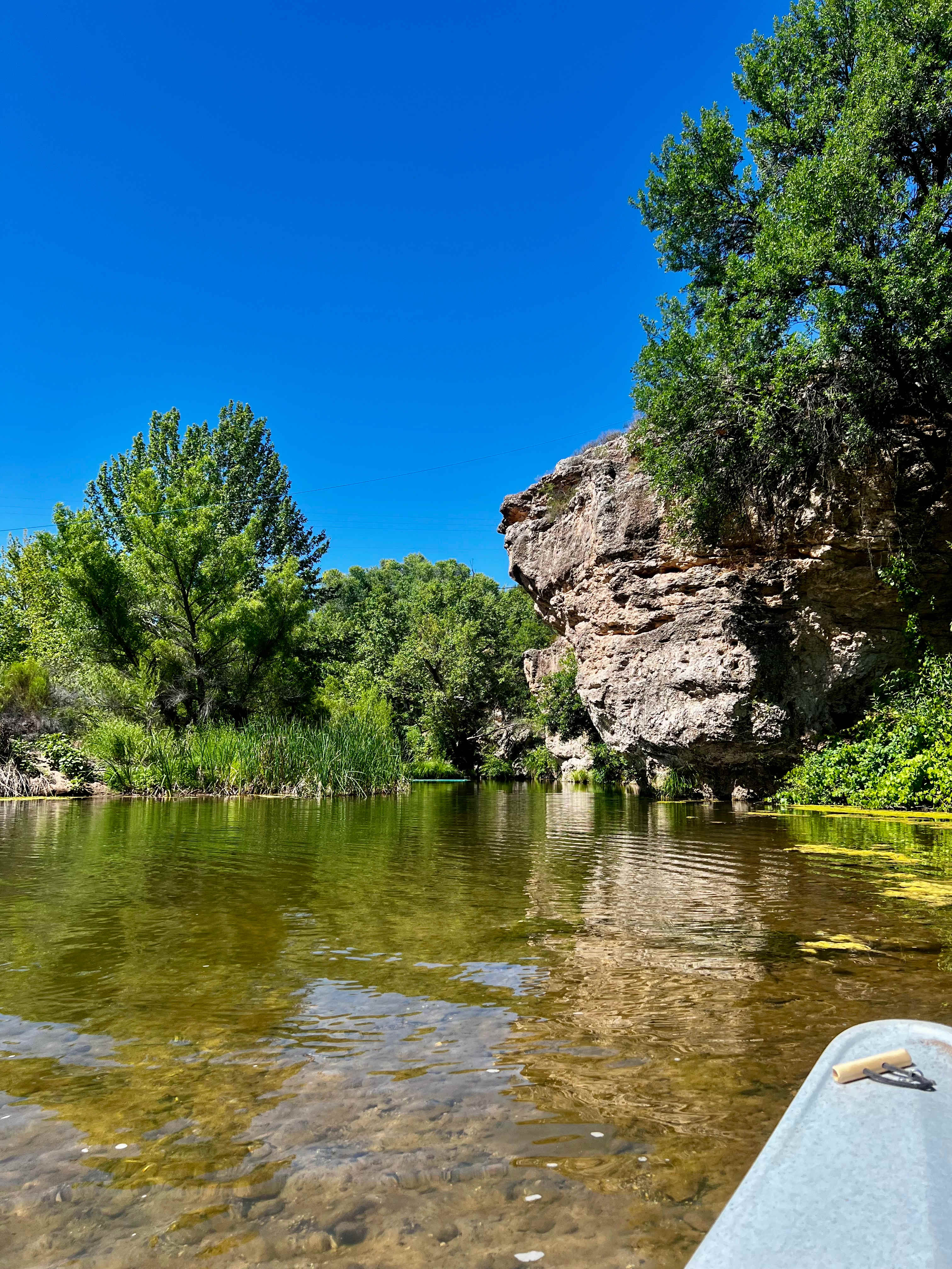 Morning paddle on the creek.