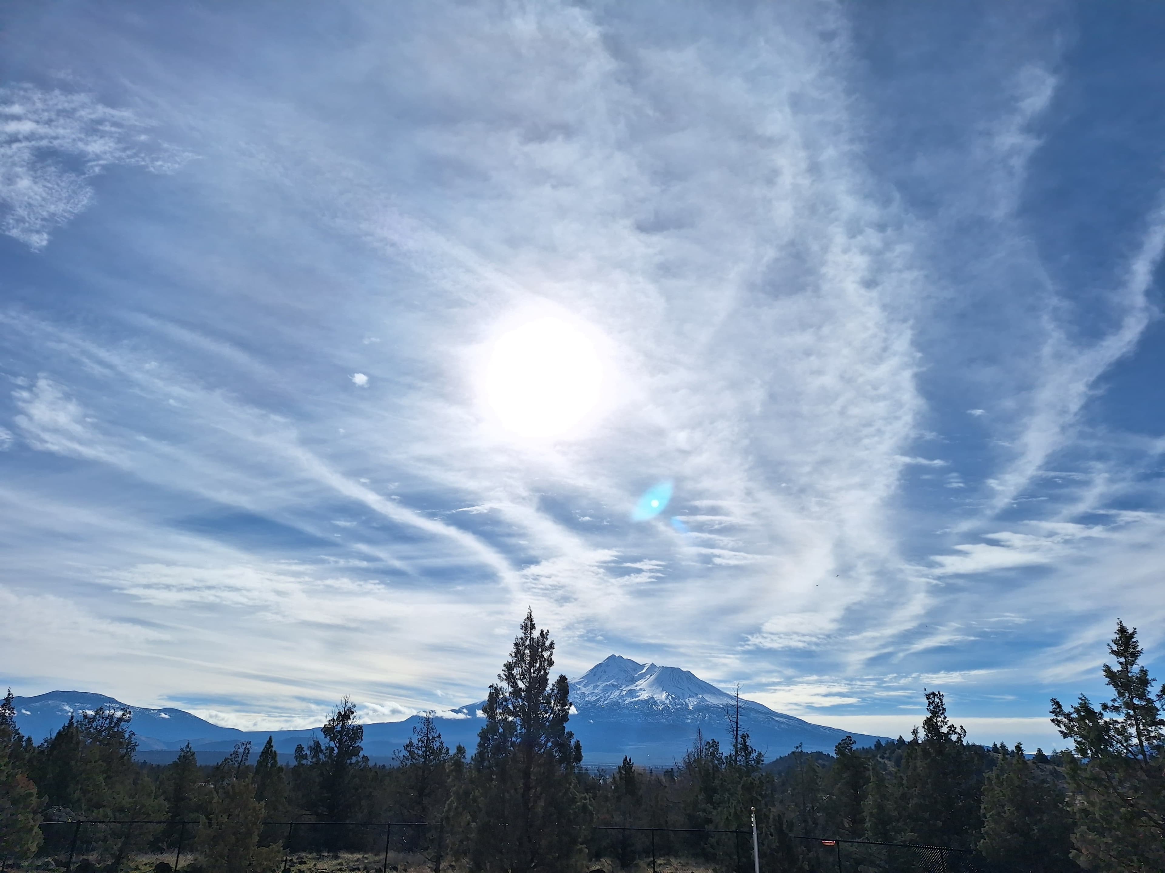 Mt Shasta View!