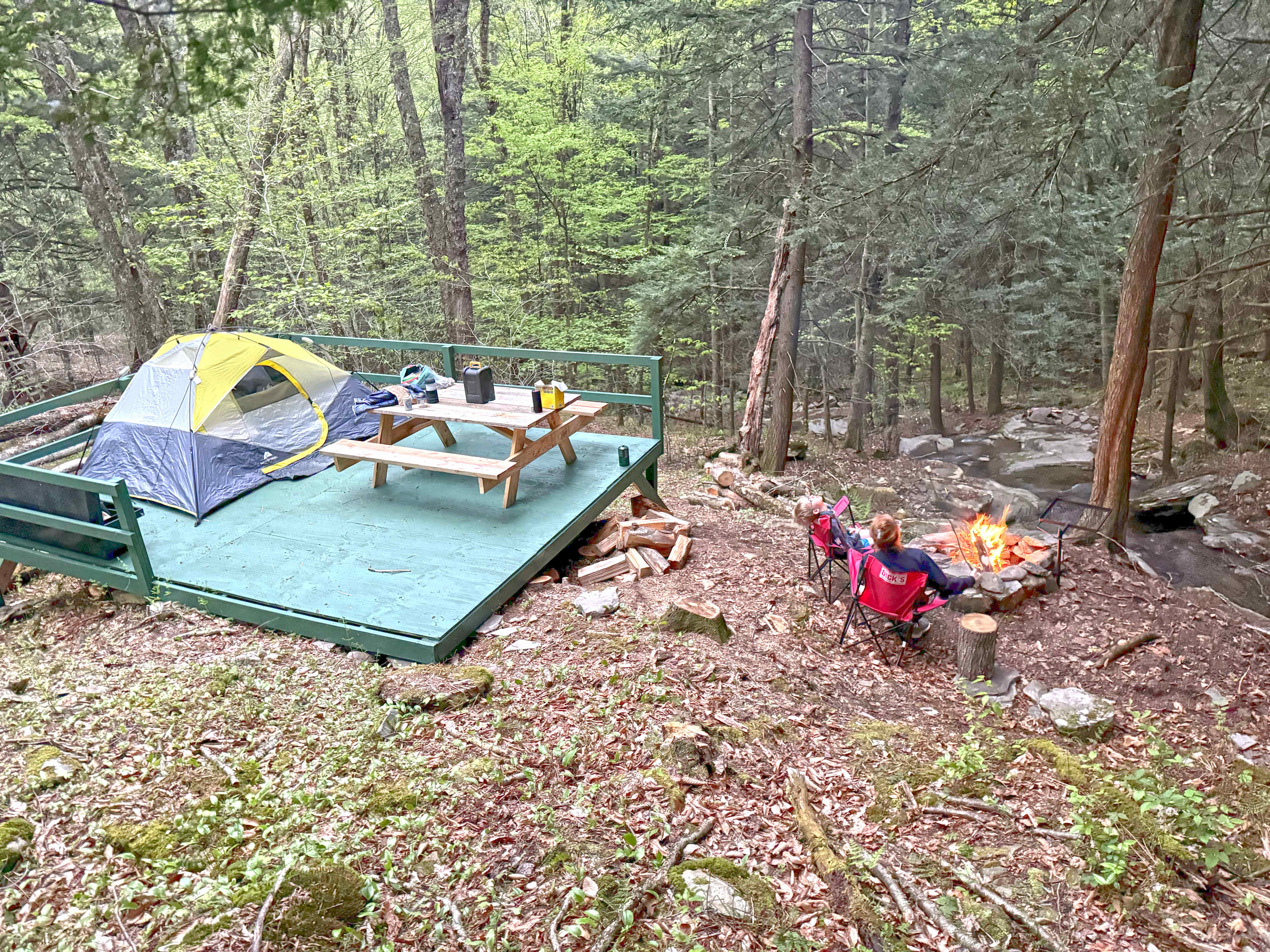 Picture of the site