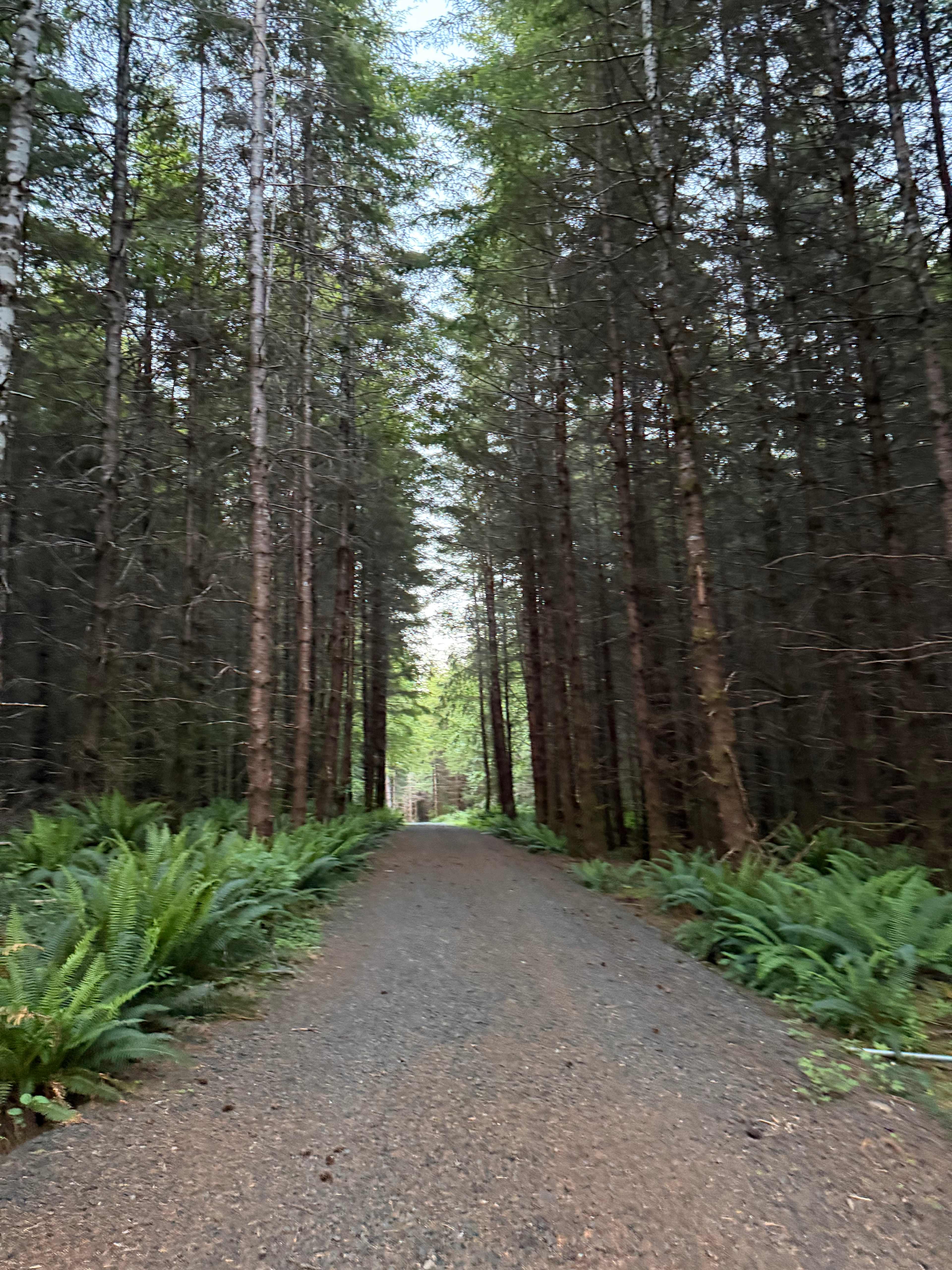 Olympic Adventure Campground
