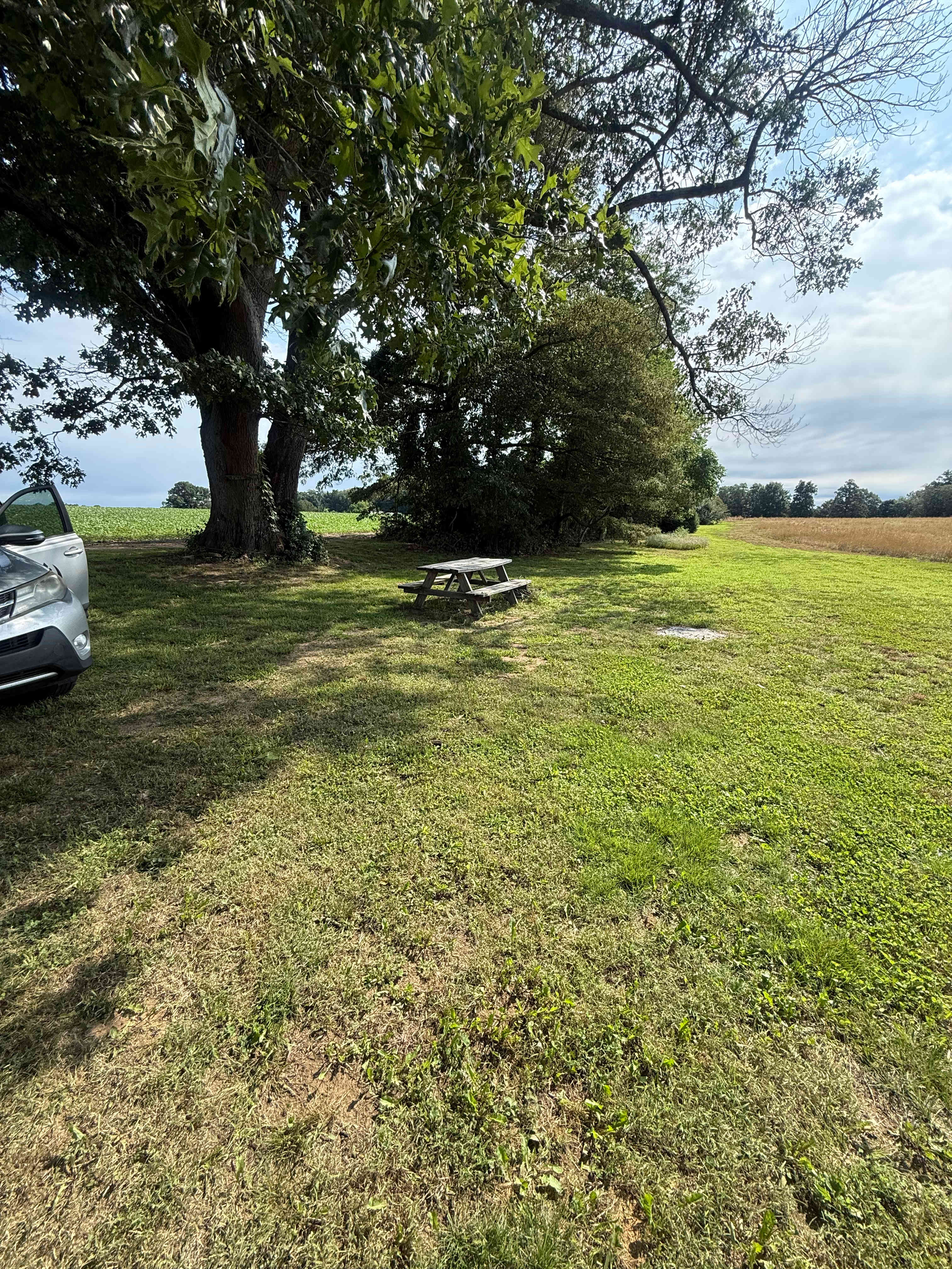 The Art Farm