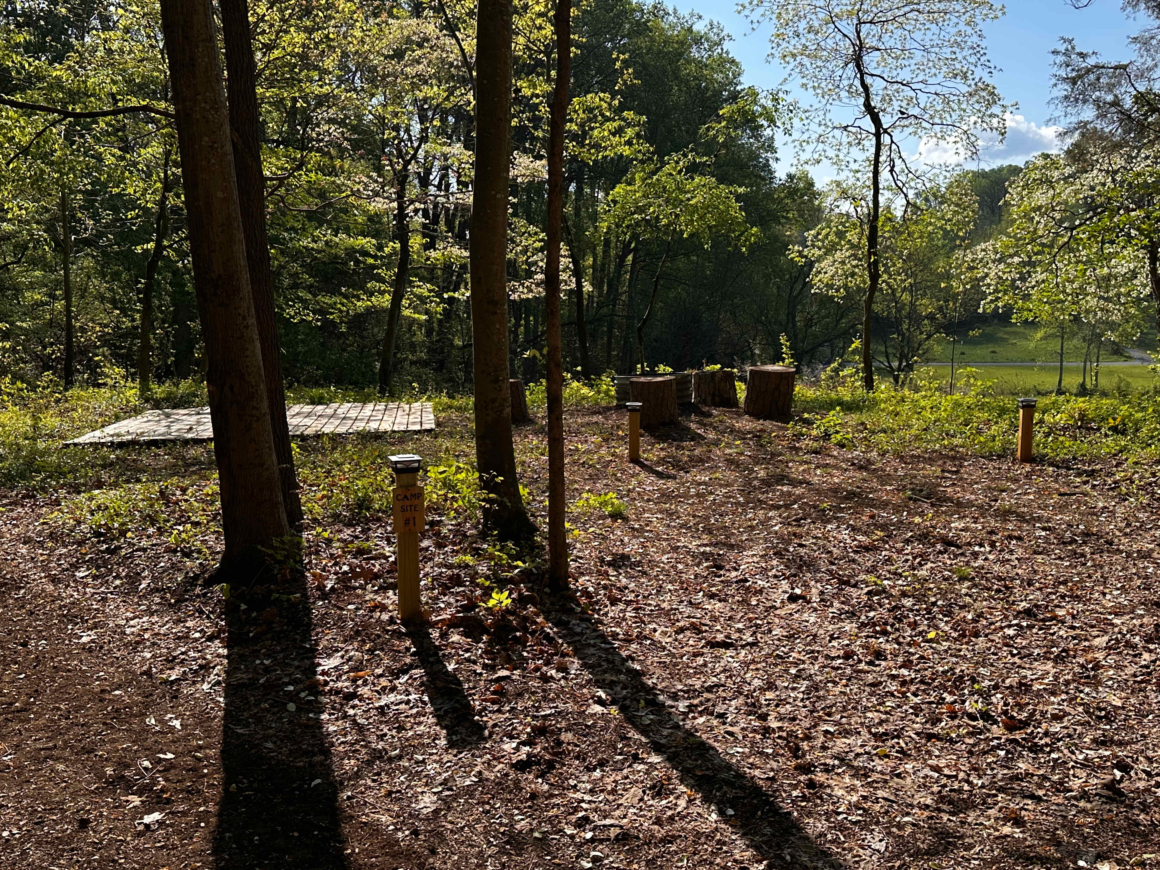 Picture of the site