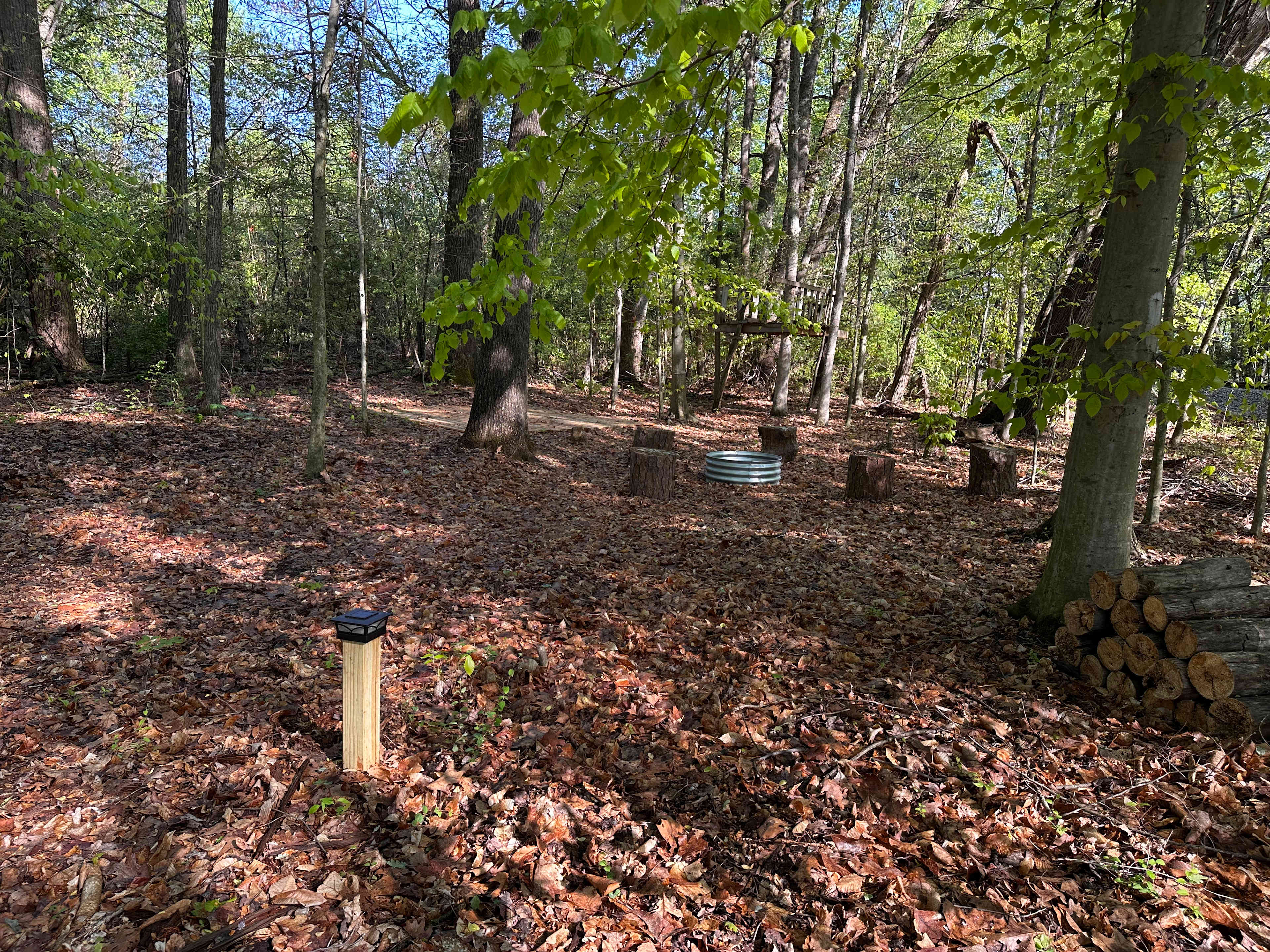 Picture of the site