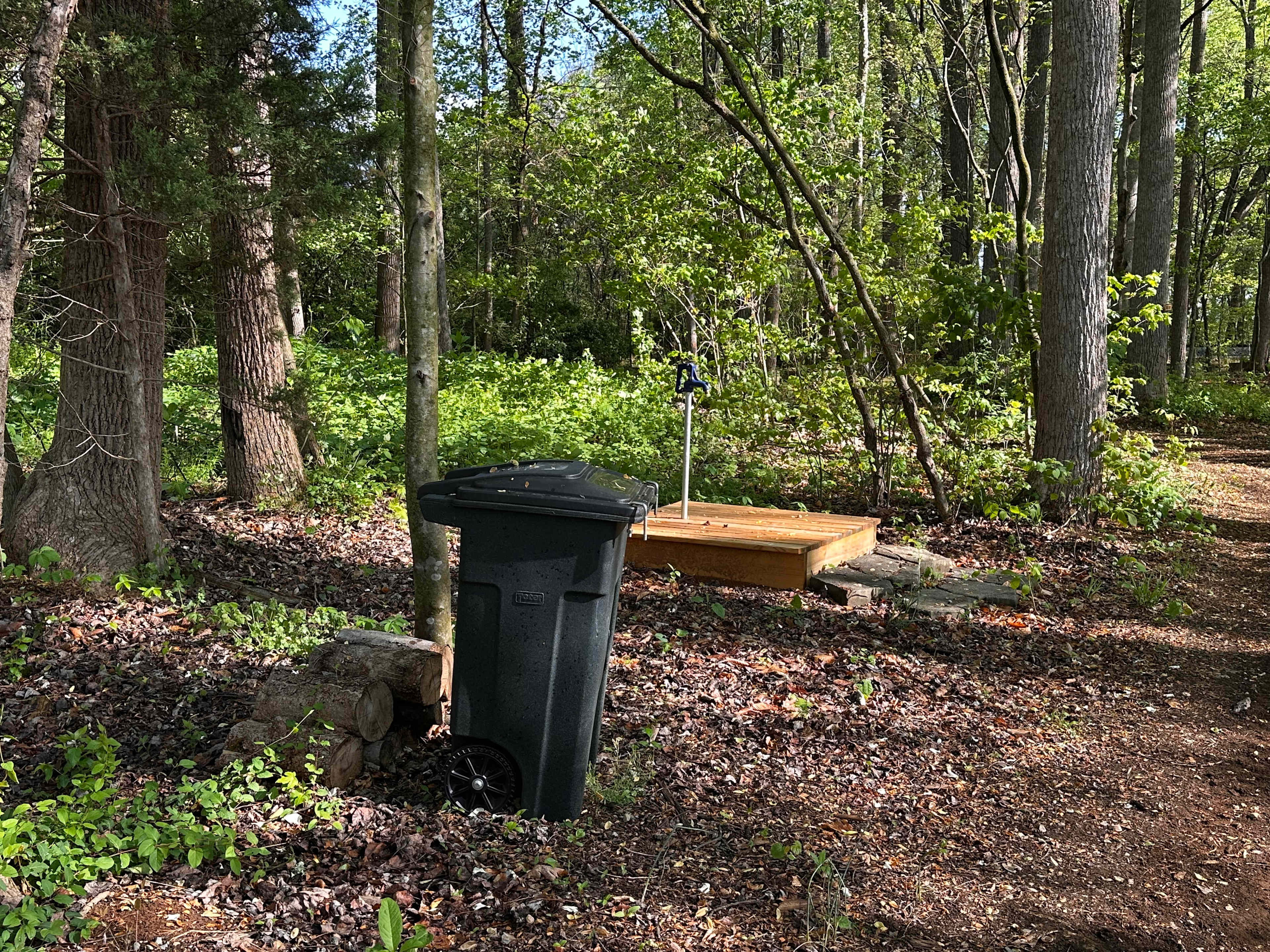 Picture of the site