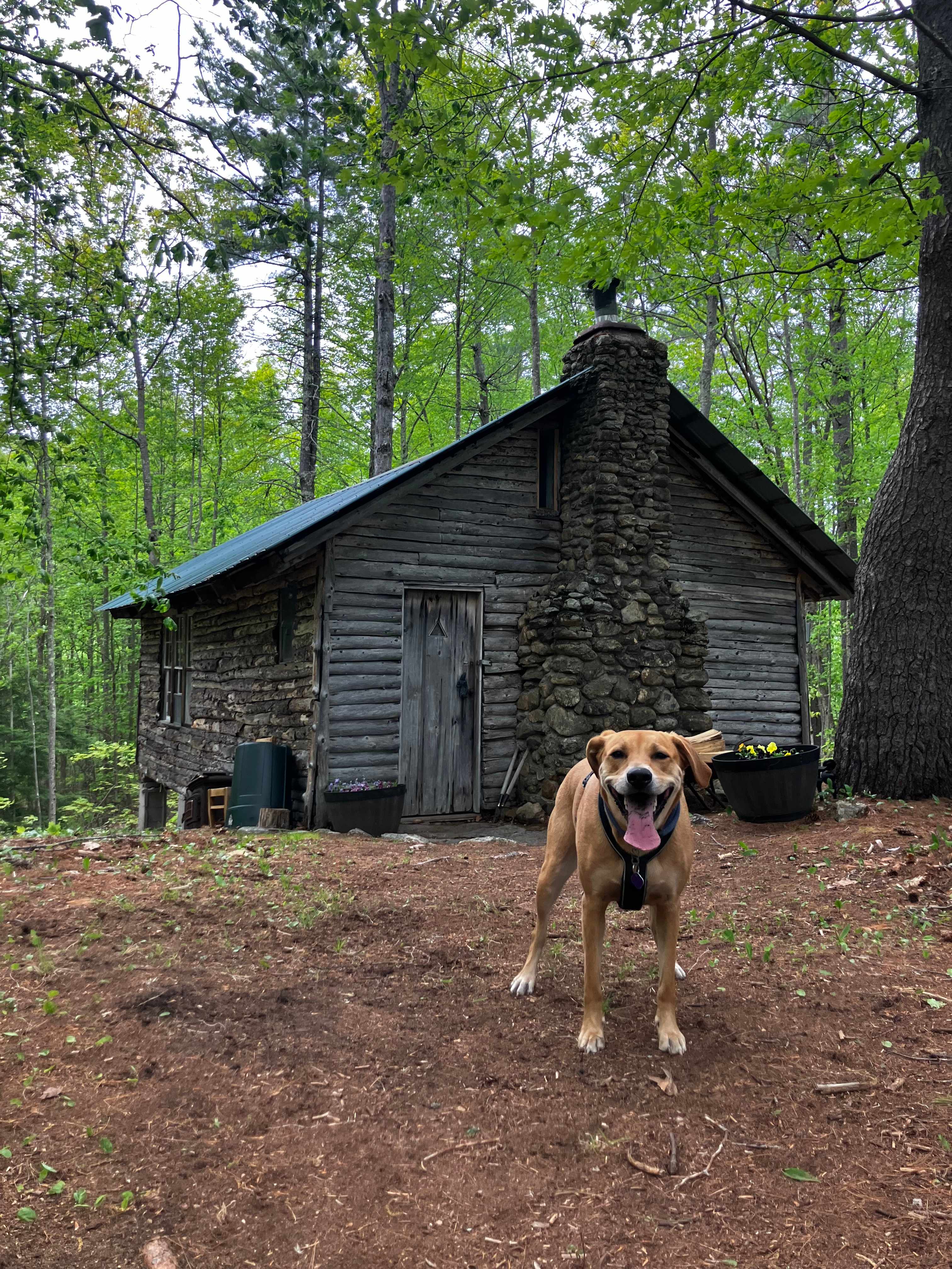 Wapack Trail Cabin