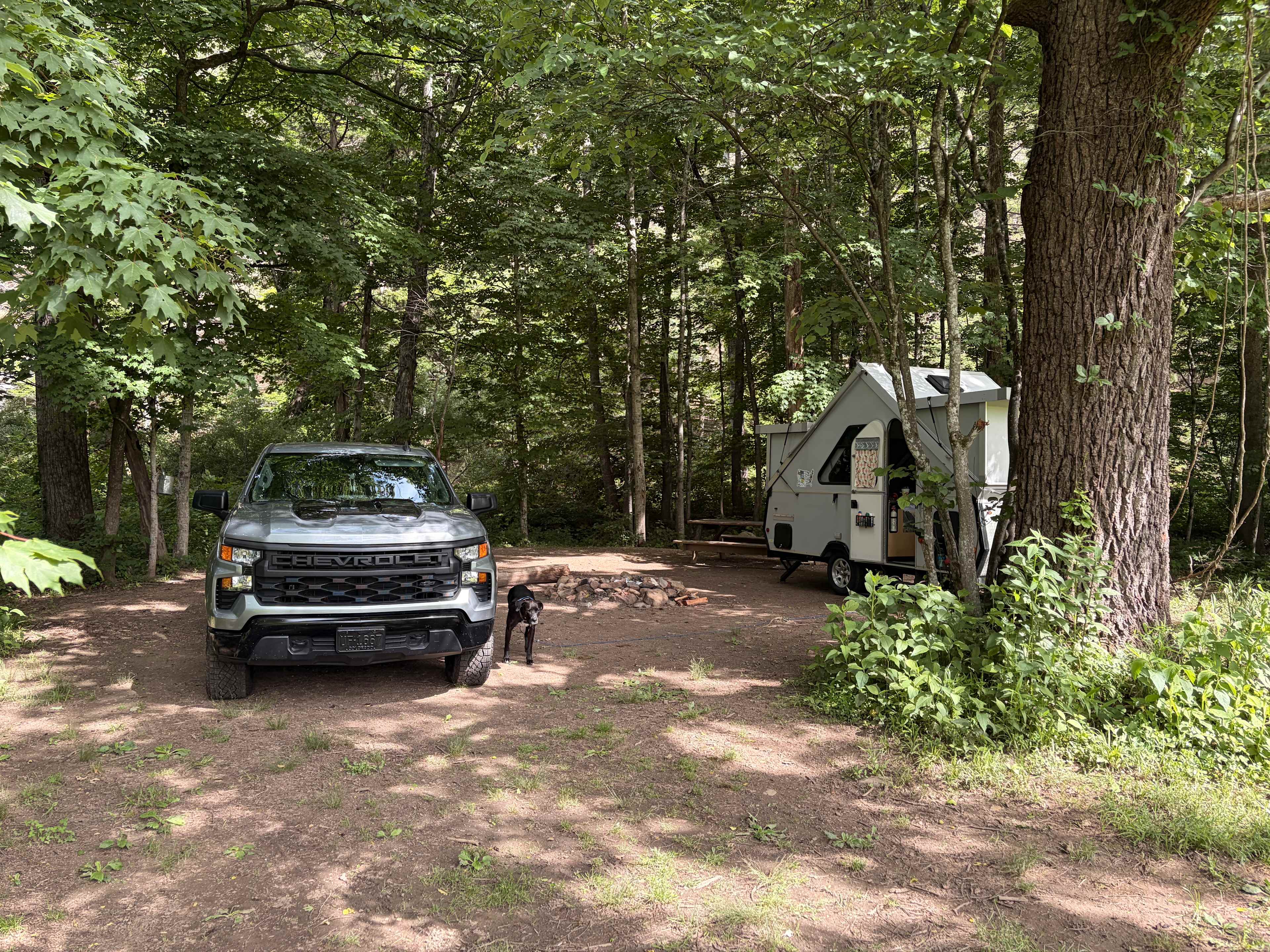 Savage Acres on Craig Creek