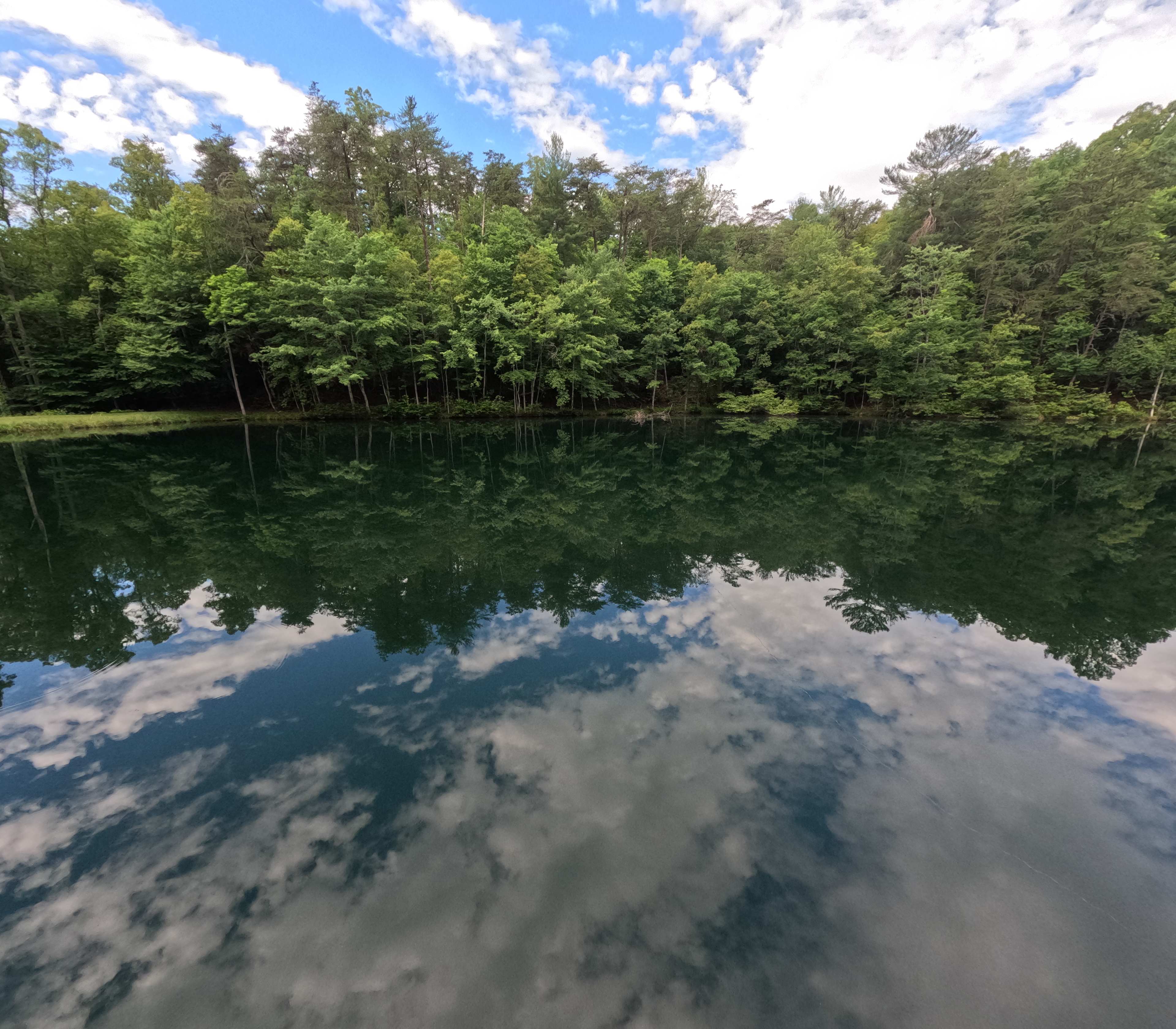 Wild Toad Lake