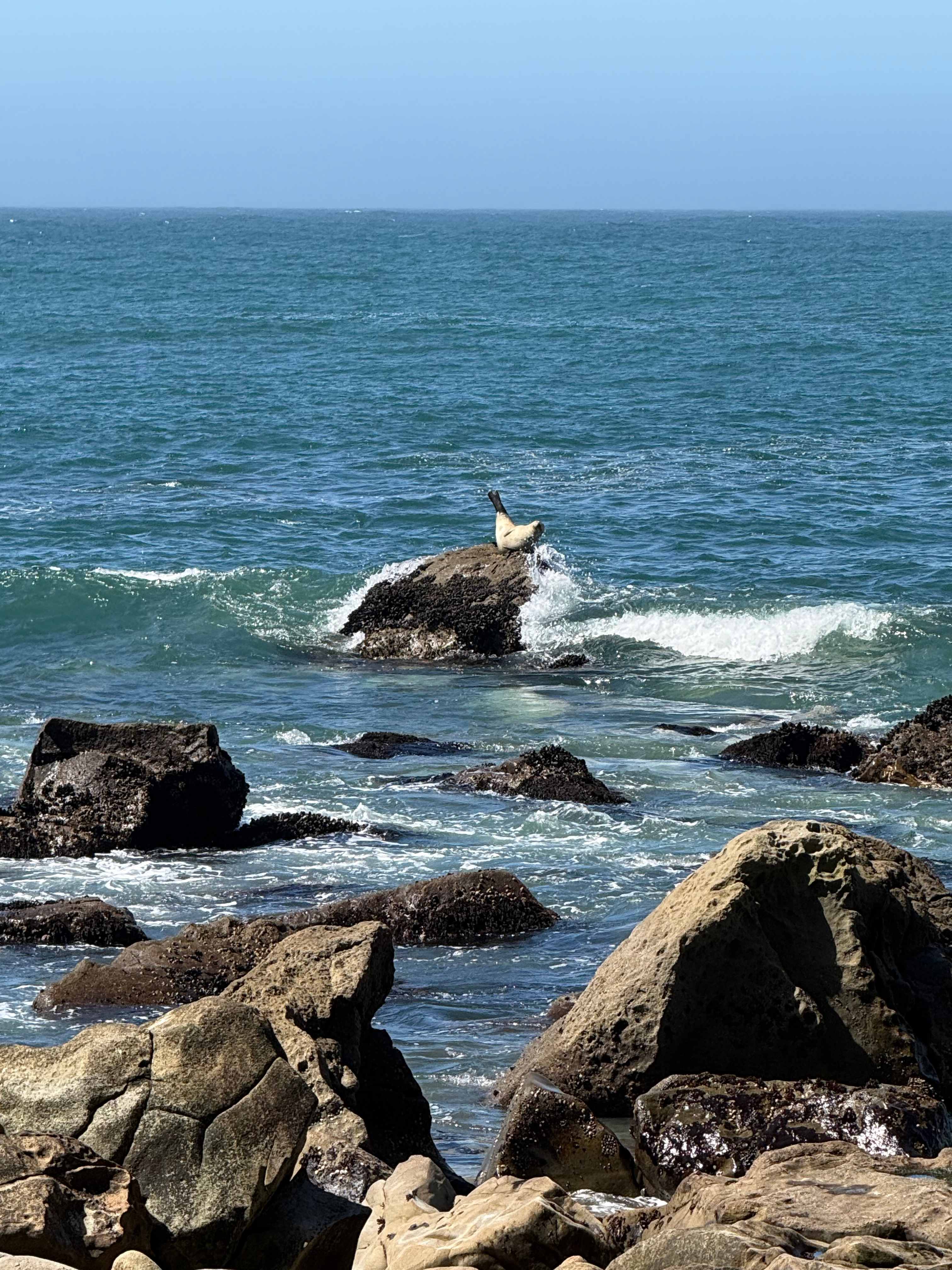 Timber Cove Campground