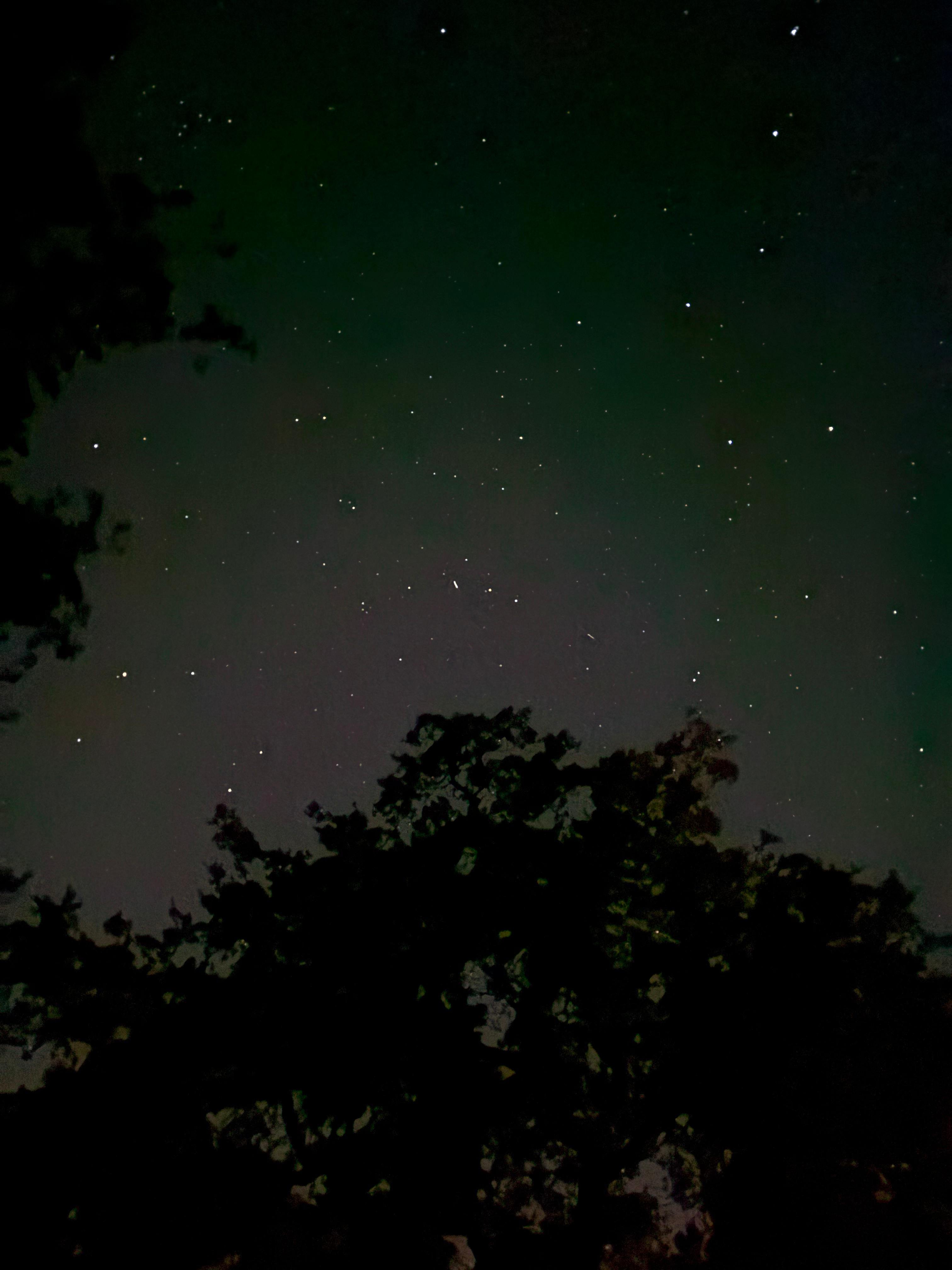 Starry night from the sauna