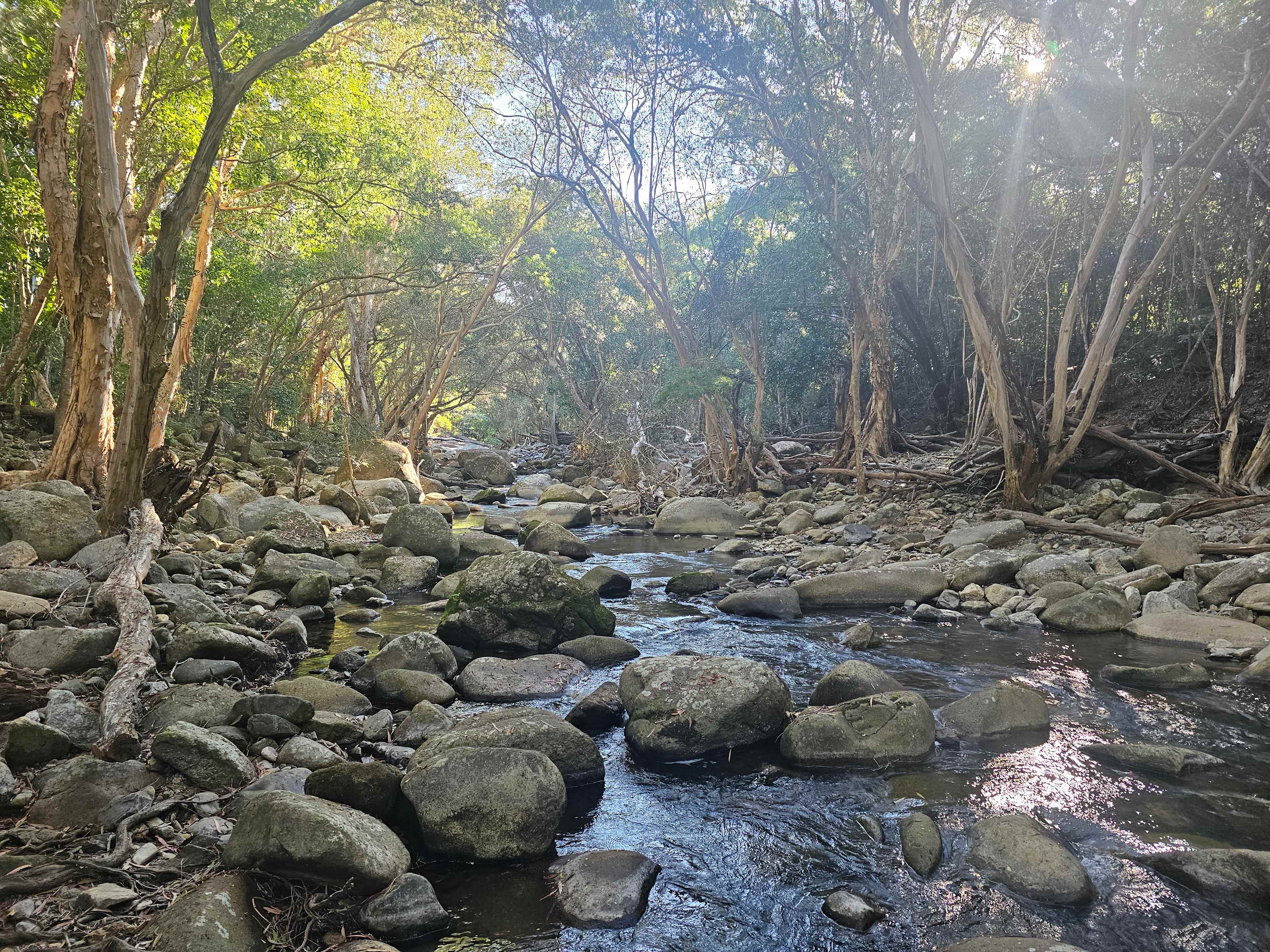 Hartley's Creek