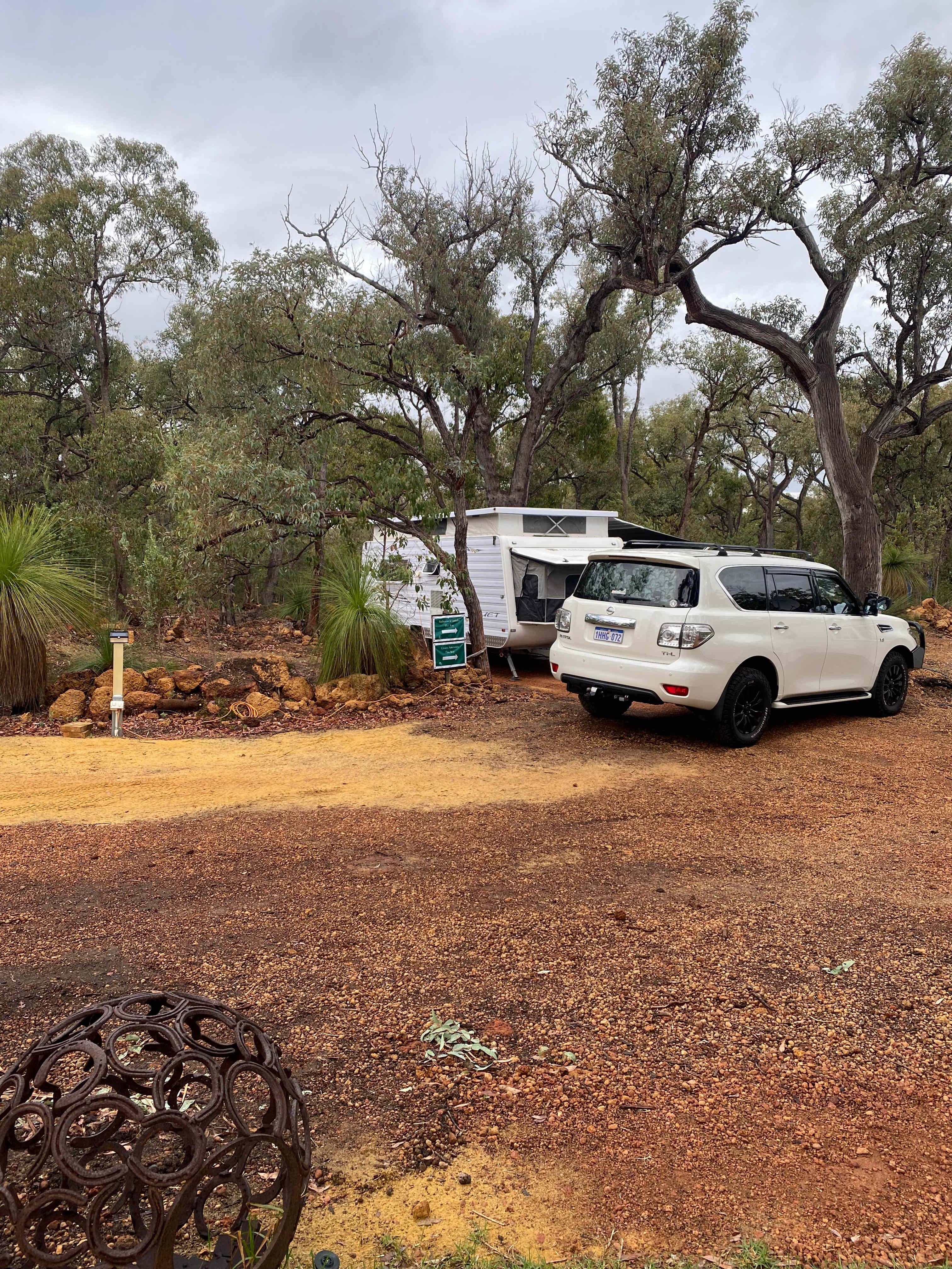 Evergreen Bush Stayz