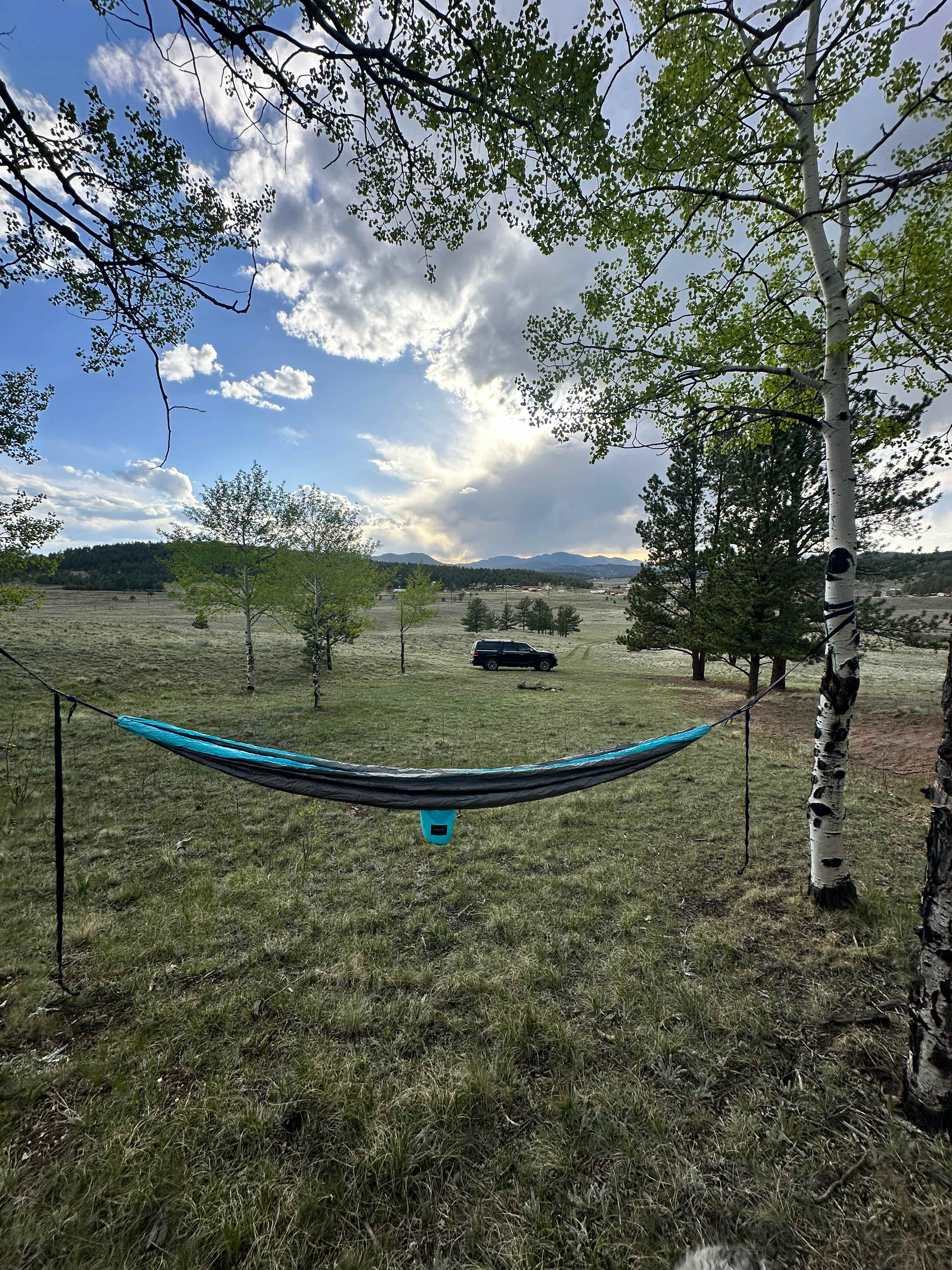 Twisted Sisters Farm