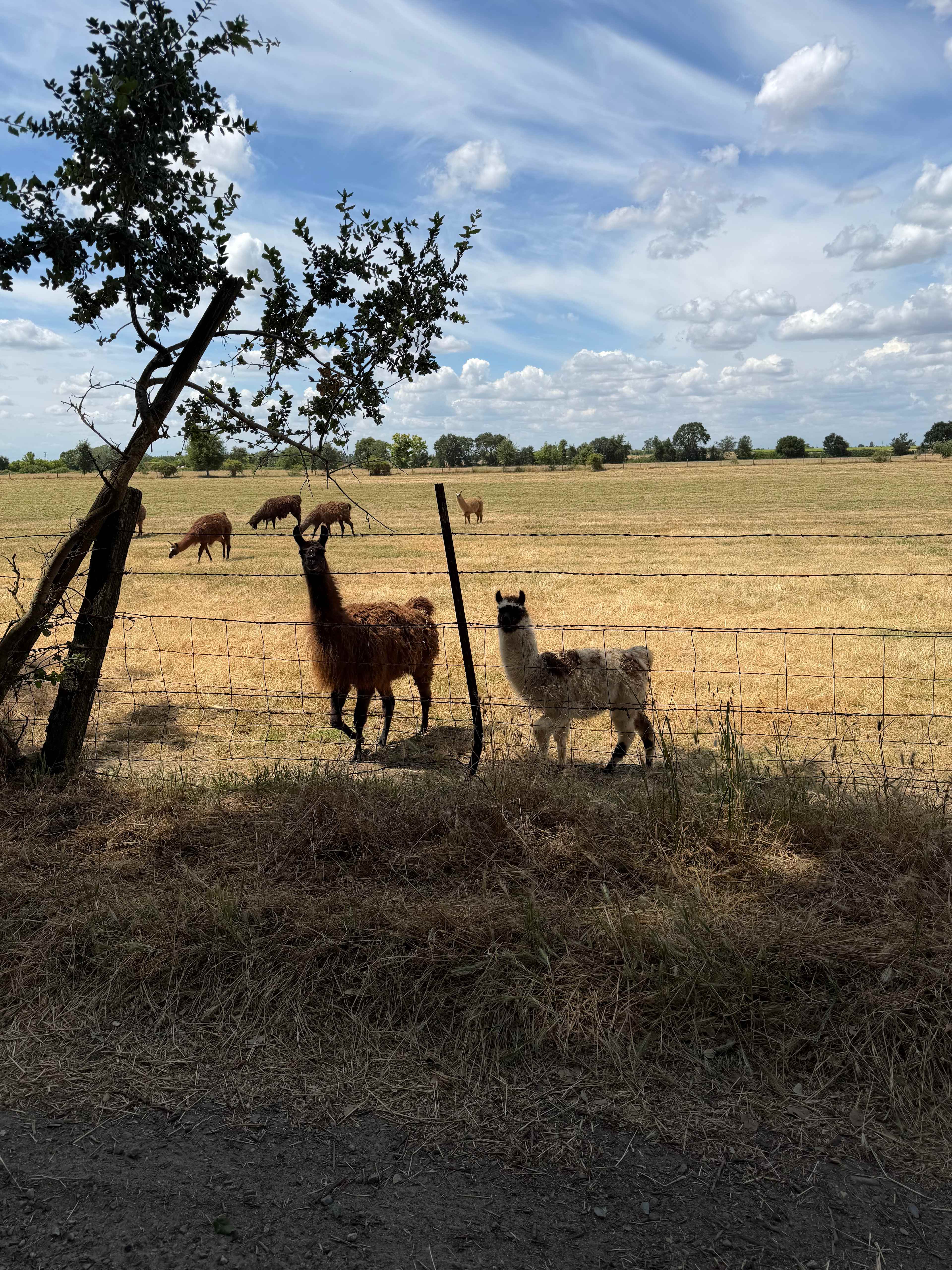 Walden Ranch